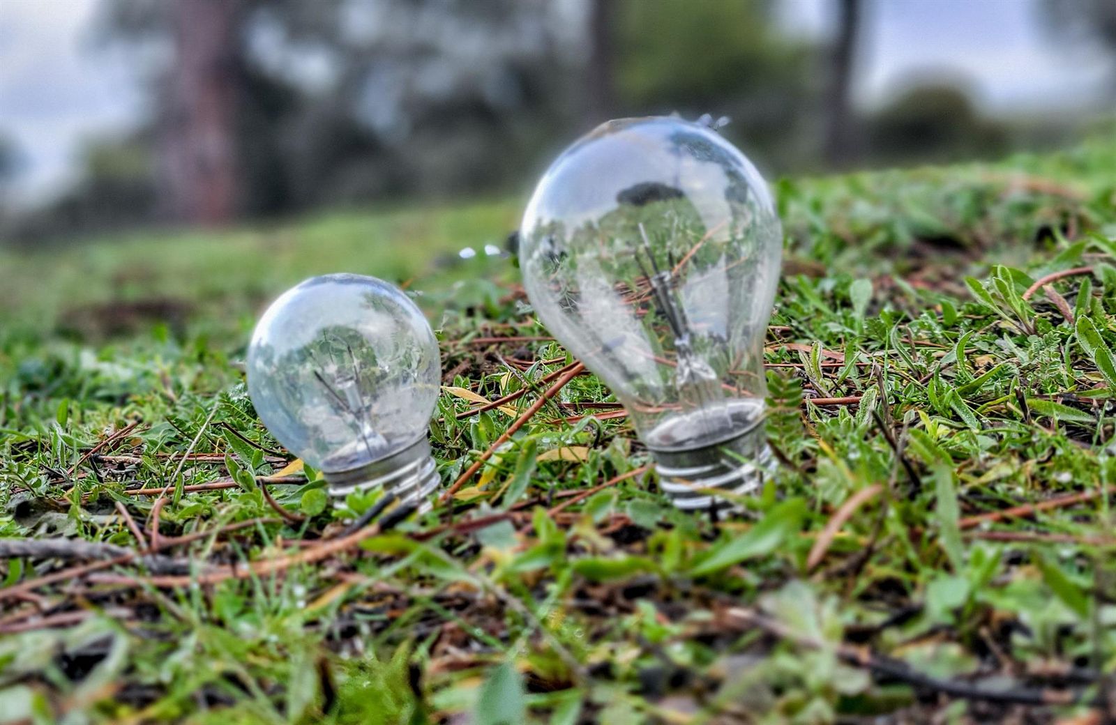 Dos bombillas sobre césped. El Gobierno central ha eliminado de manera definitiva las reducciones temporales que, desde junio de 2021, venía aplicando para paliar la inflación de precios en materia energética, derivada de la Guerra de Ucrania. - Ricardo Rubio - Europa Press