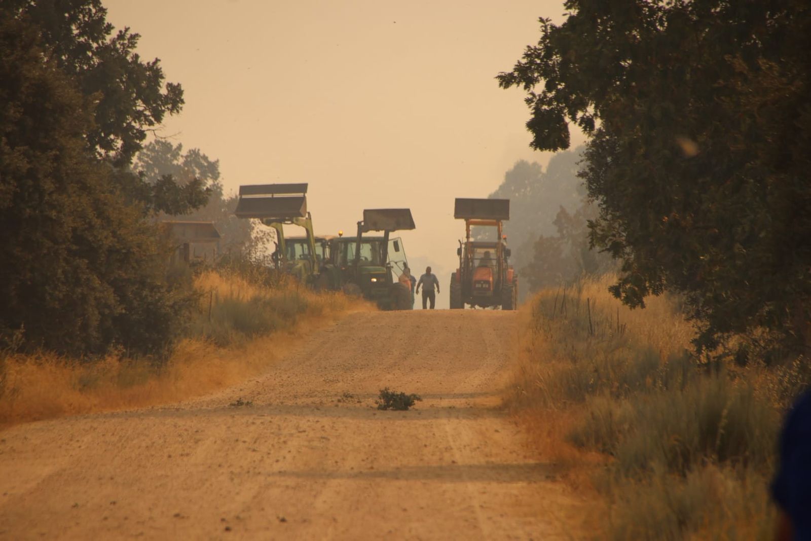 Cerezal de Puertas incendio IGR2 Cipérez1.jpg