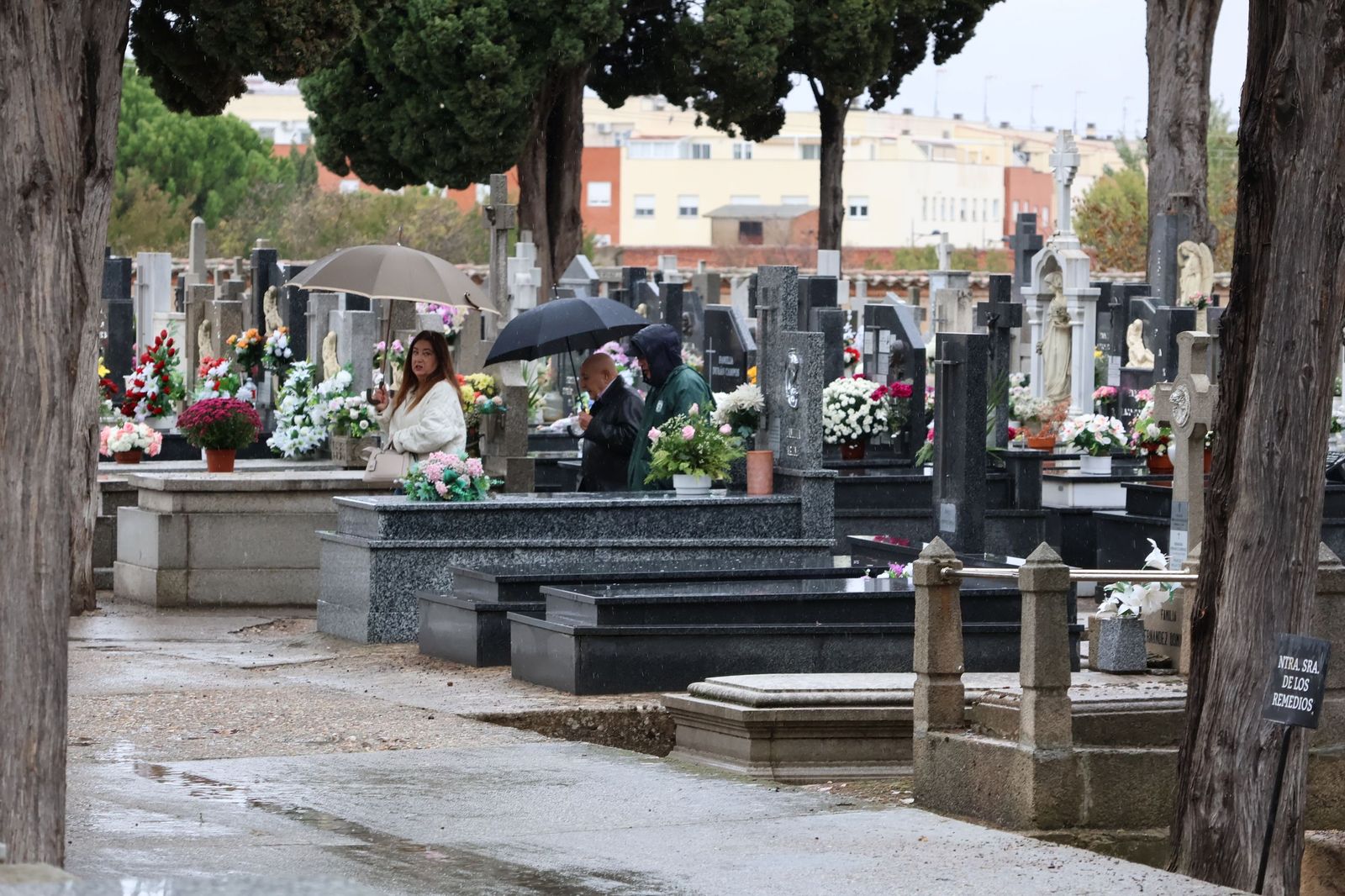 GALERÍA | La lluvia no detiene la tradición: los zamoranos acuden al cementerio para recordar a sus fallecidos