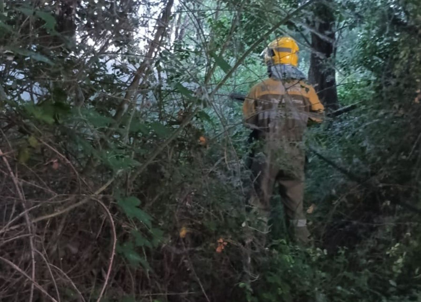 Un incendio por pelusas de chopo moviliza a los bomberos en Alba de Tormes