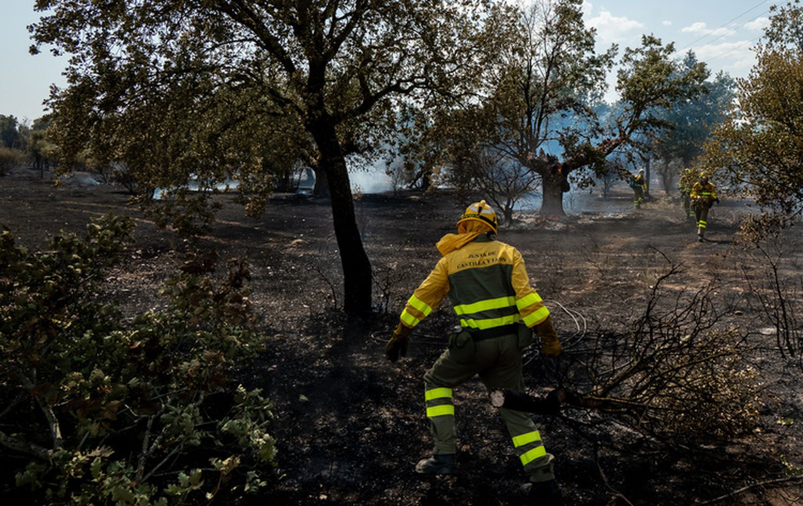 El fuego quema una zona de pasto en los entornos de la N-620 y la A-62 en Valdecarpinteros