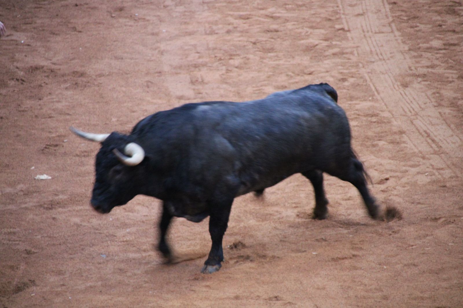 whatsapp-image-2025-03-02-at-19-32-35-2