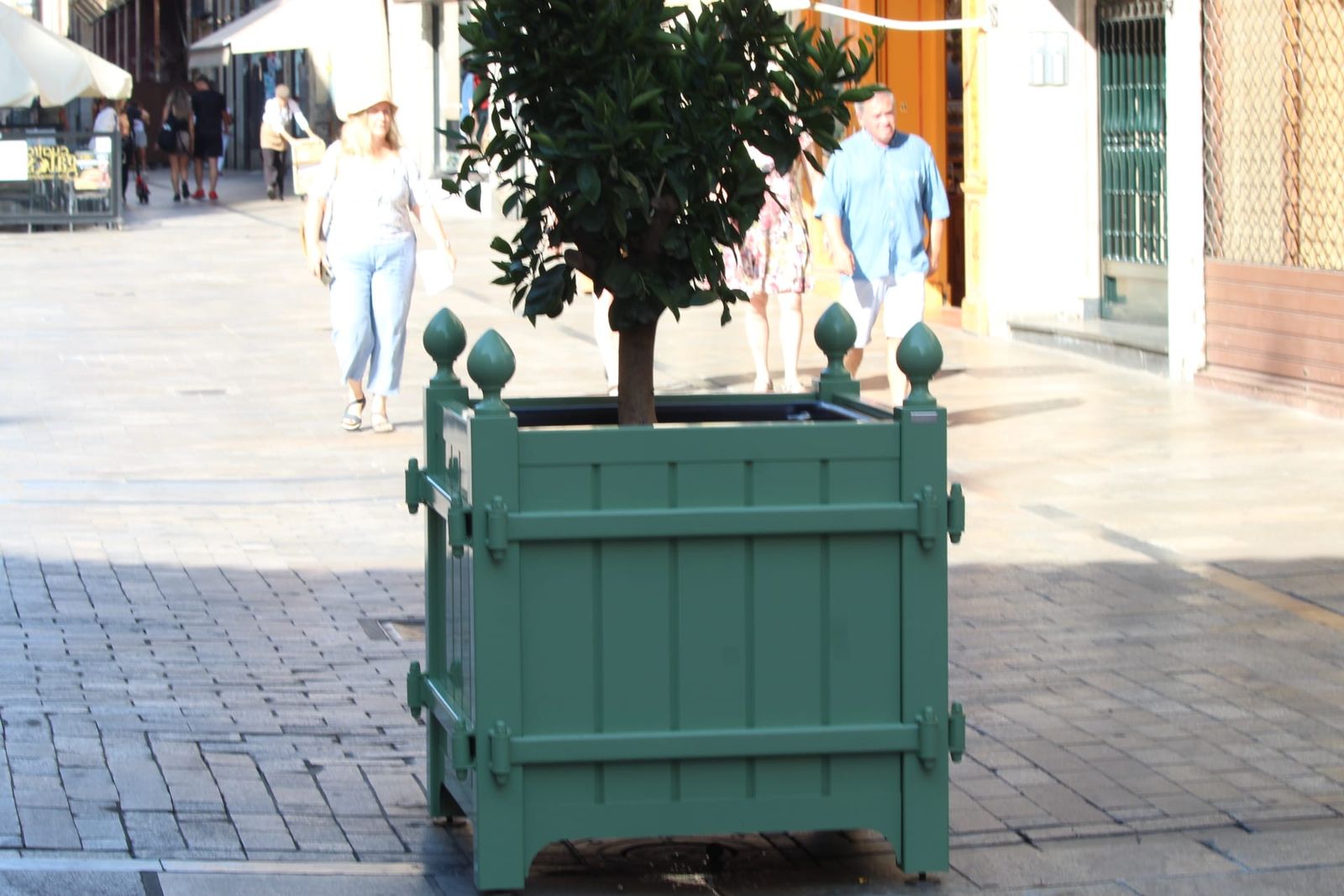 whatsapp-image-2024-08-27-at-17-49-08-3