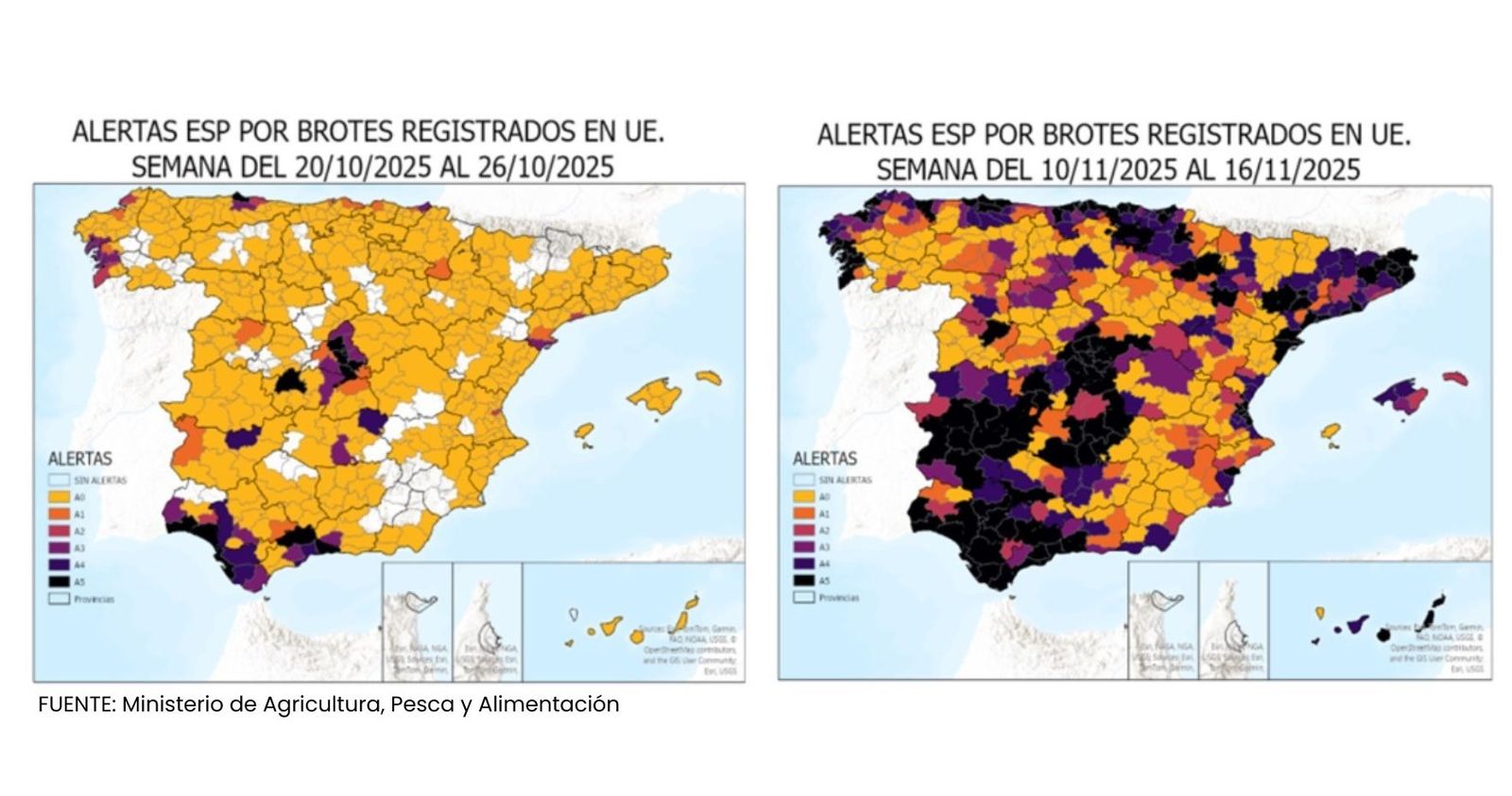 Situación de la gripe aviar en España a 13 de noviembre de 2025