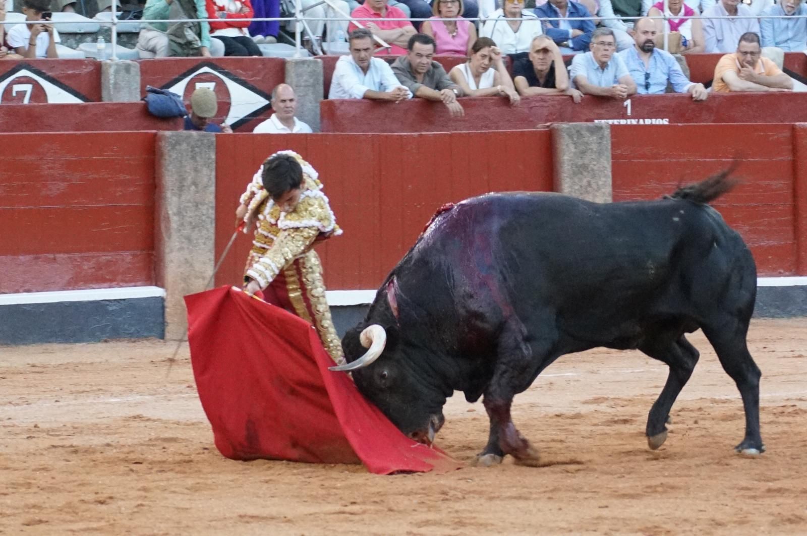 Presencia salmantina por partida doble en la primera corrida de la feria: Damián Castaño e Ismael Martín junto al mexicano Diego San Román
