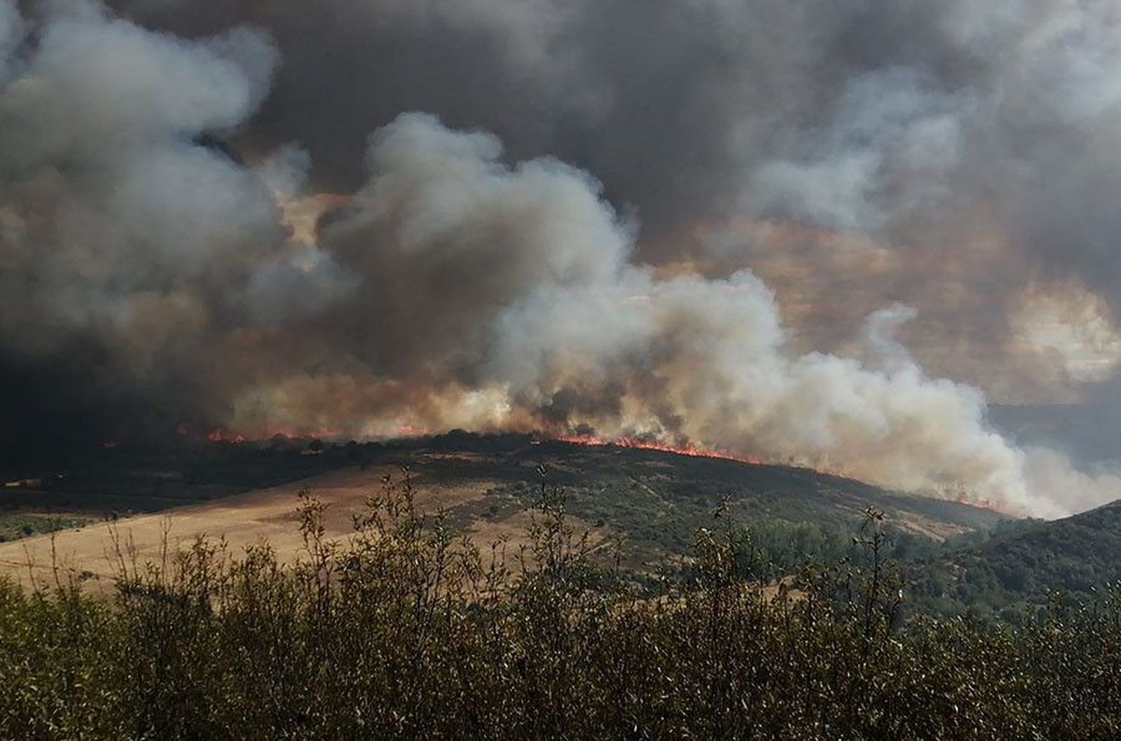 WhatsApp Image 2020 08 15 at 18.04.23