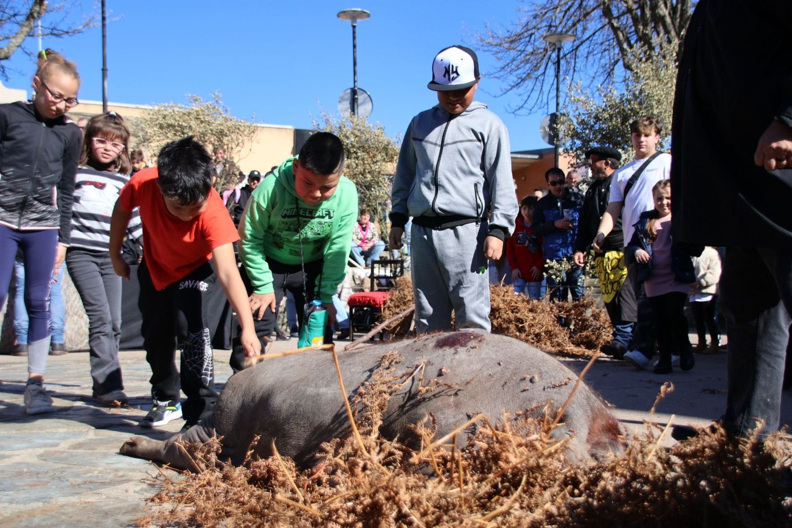 20240203131324-img-4448