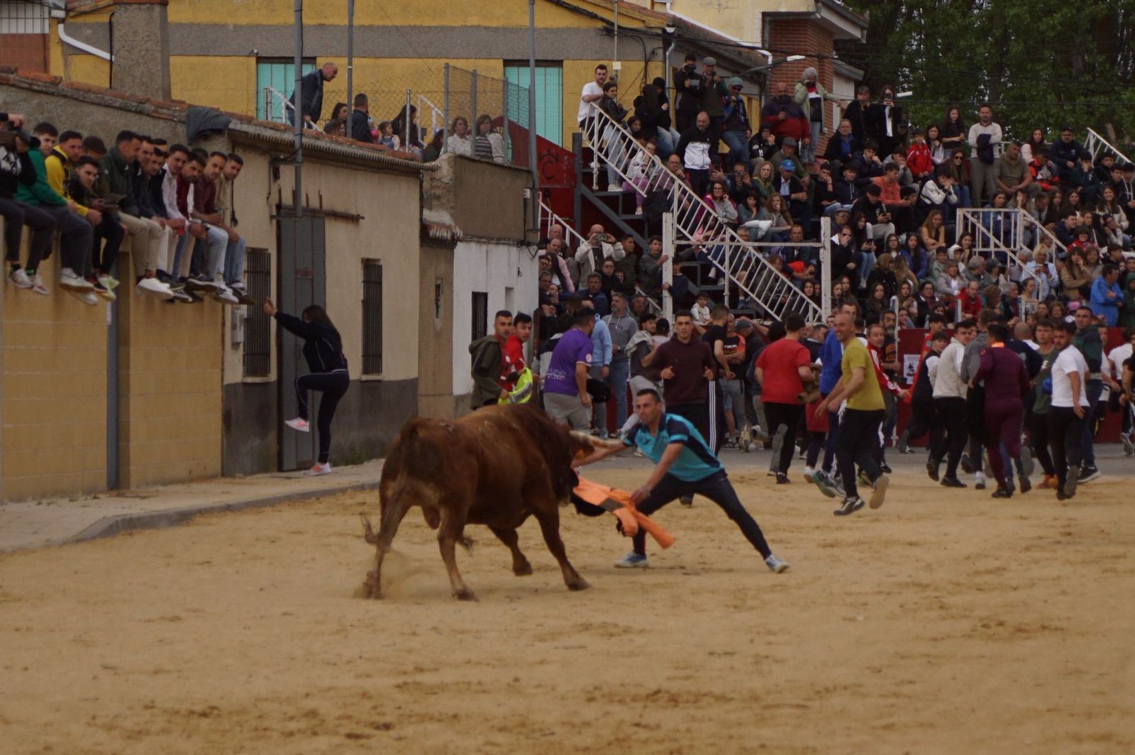 Villoria, toro del Voto