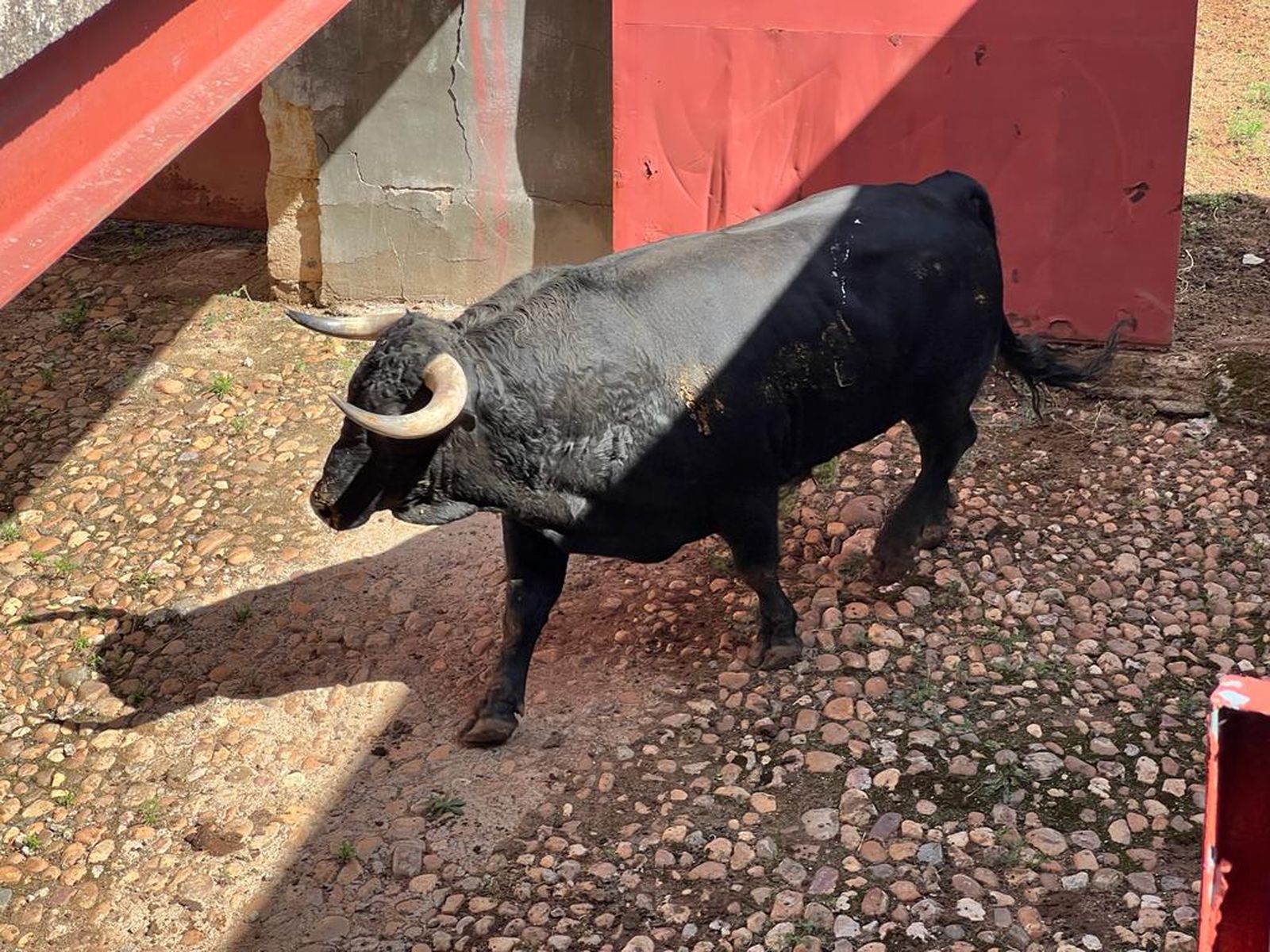 whatsapp-image-2023-09-17-at-12-52-54-1