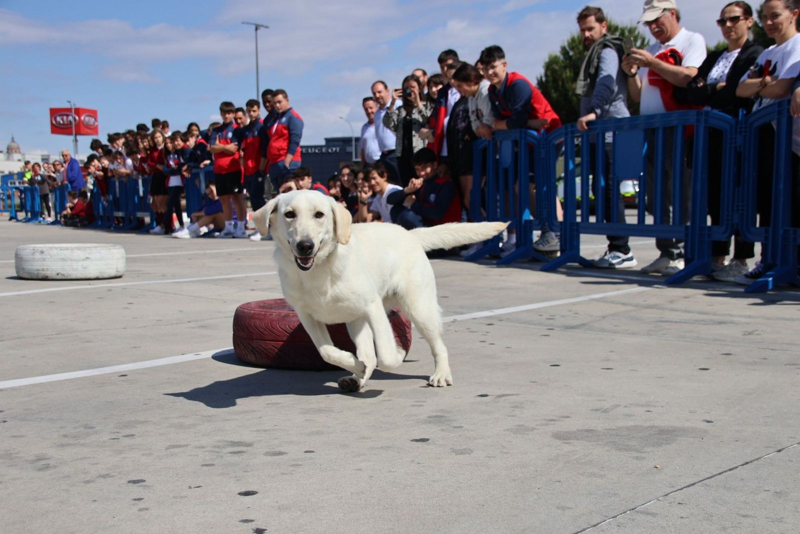 20230608102752-img-0428