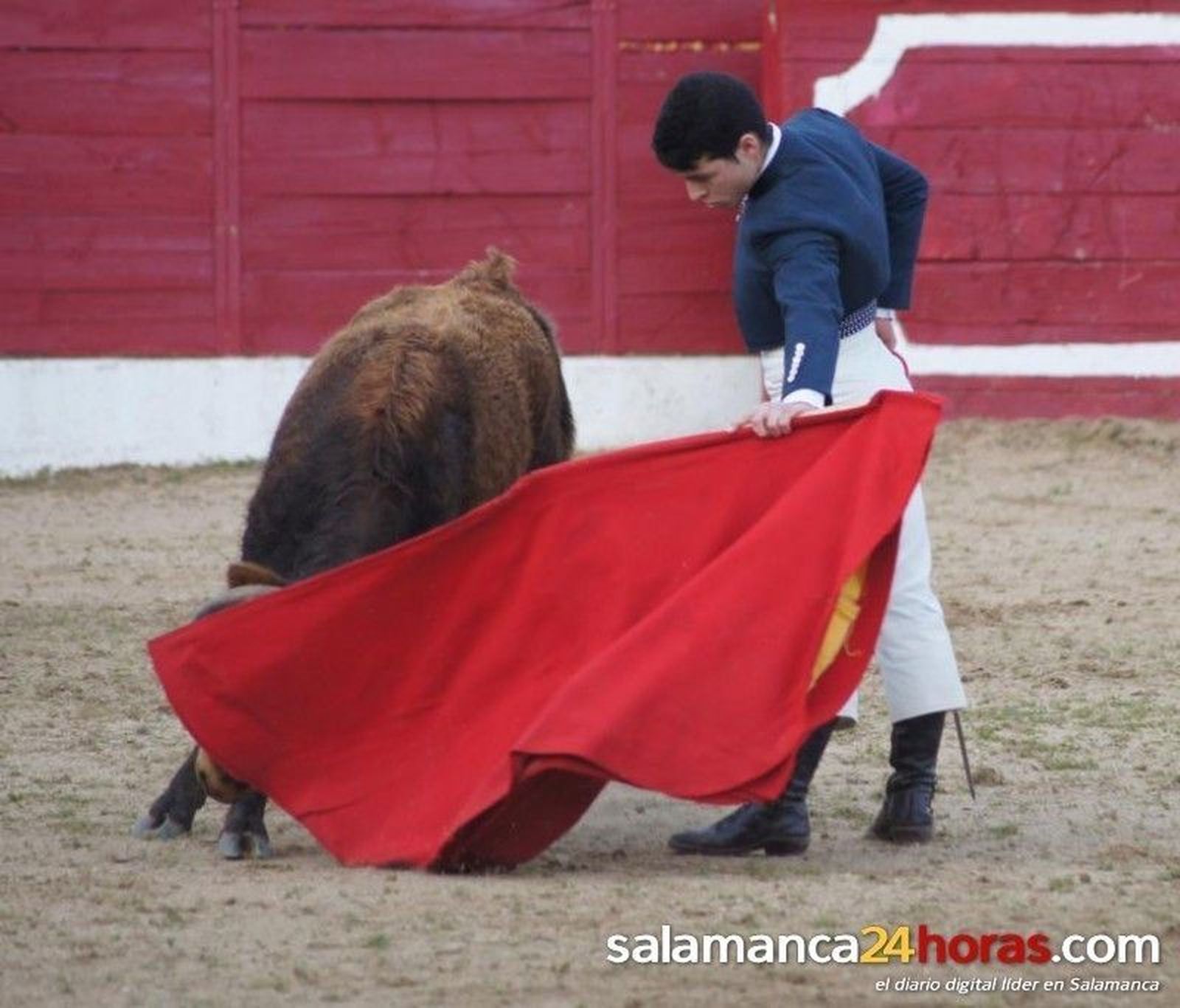 Bolsín Taurino de Ledesma
