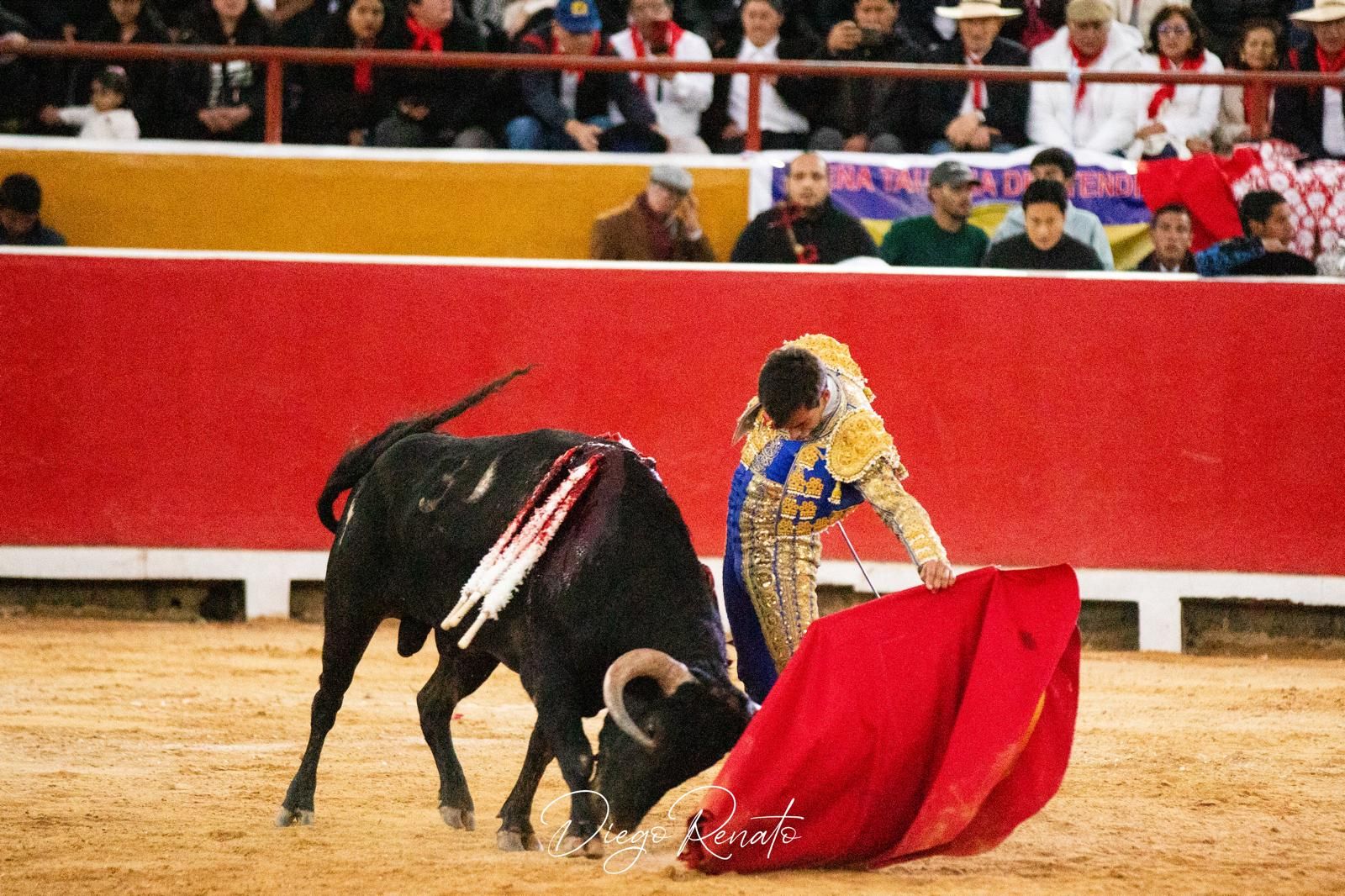 El toro Perla Negra indultado por Ismael Martín en Cutervo