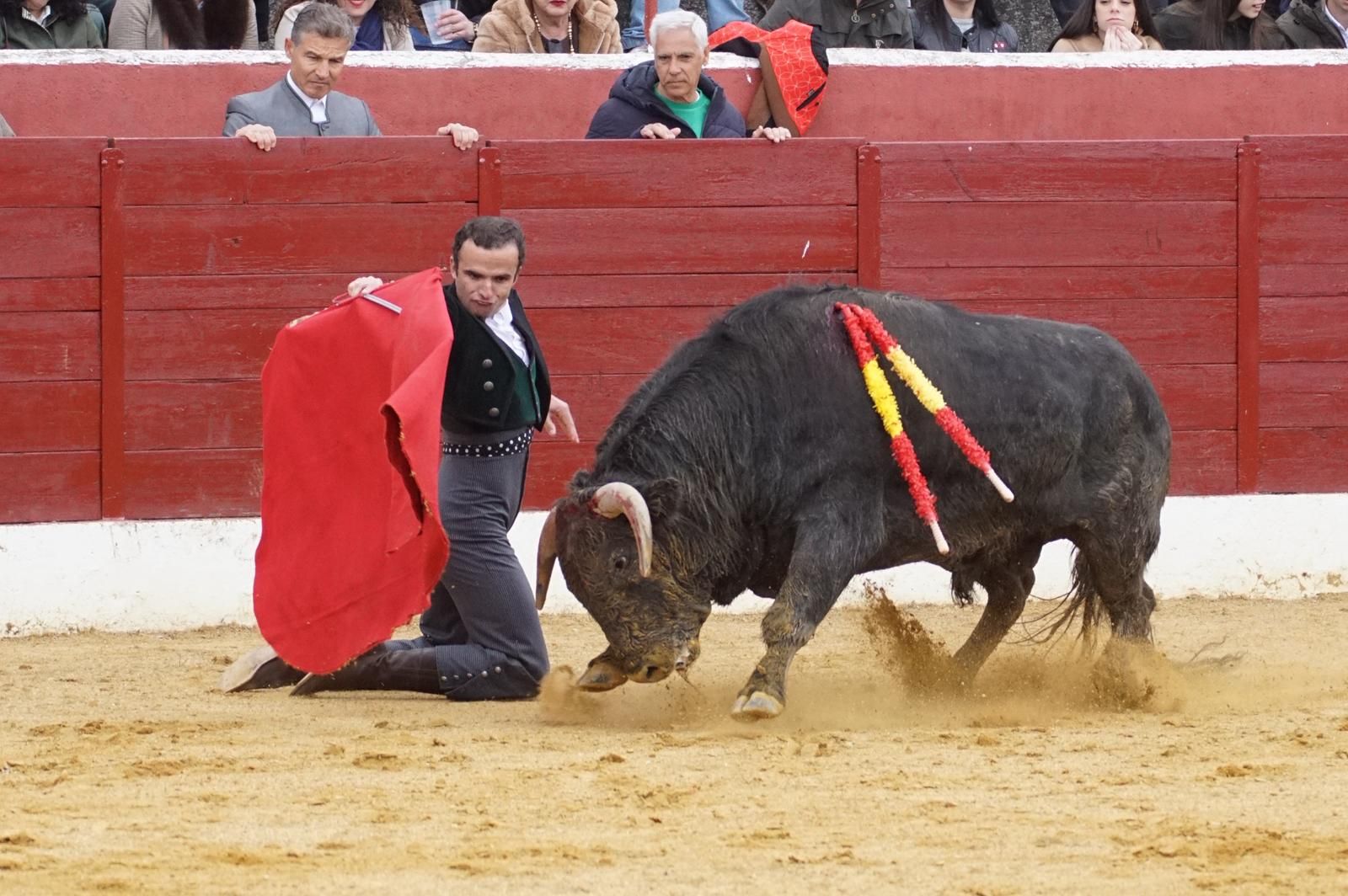 Festival taurino en Villoria