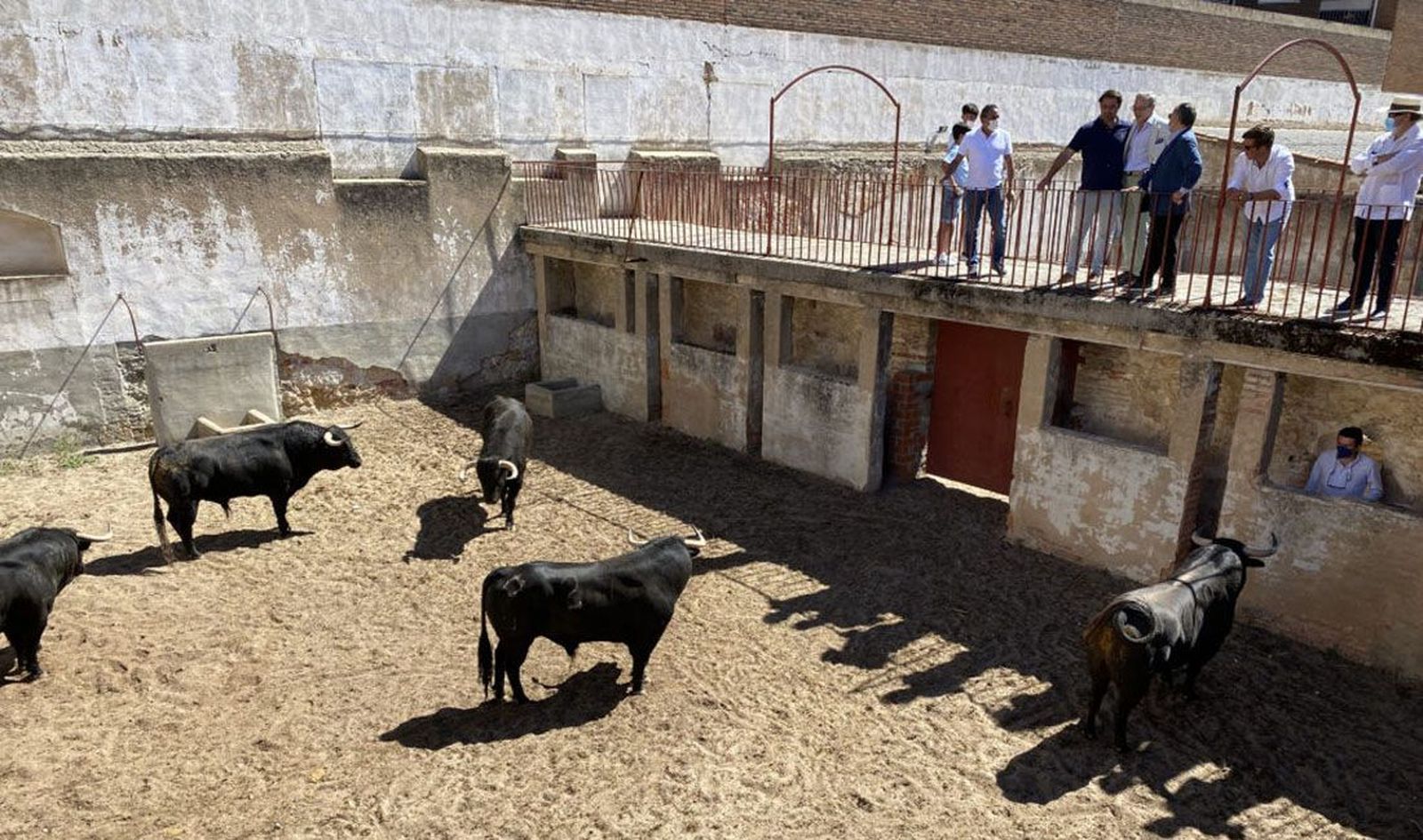 Sorteo primera de abono