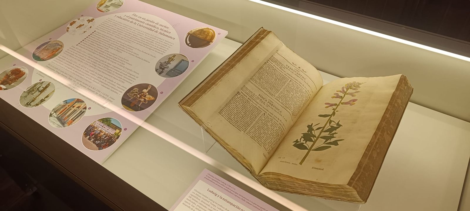 exposicion-botanica-12