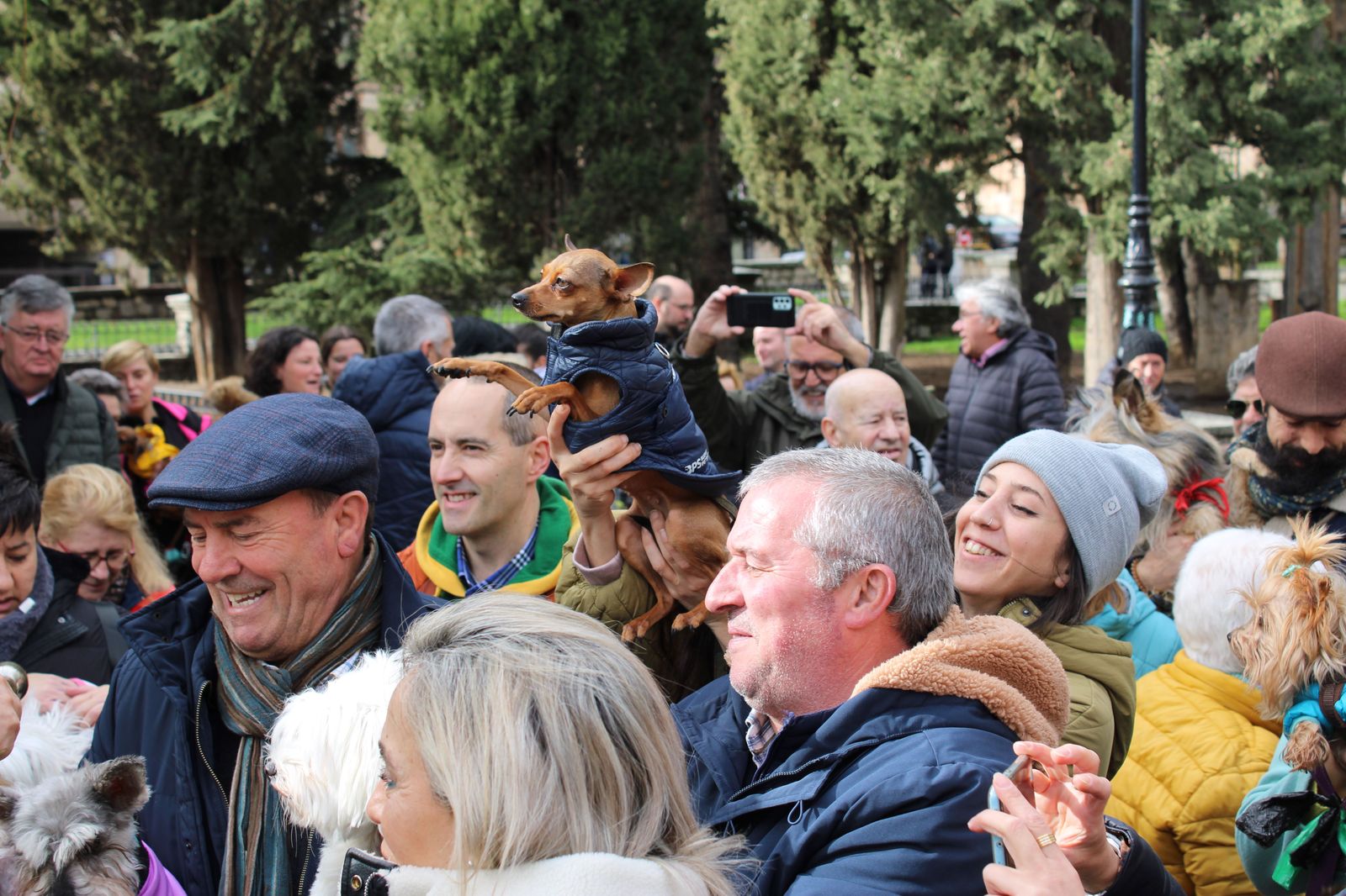 san-anton-bendicion-de-animales-2024-foto-s24h-81