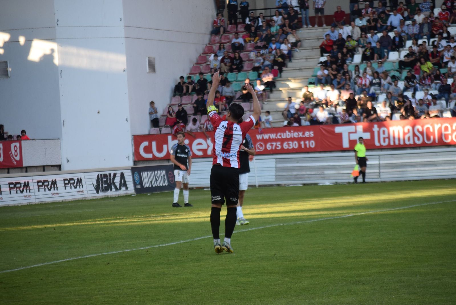 Zamora CF - UD Sanse