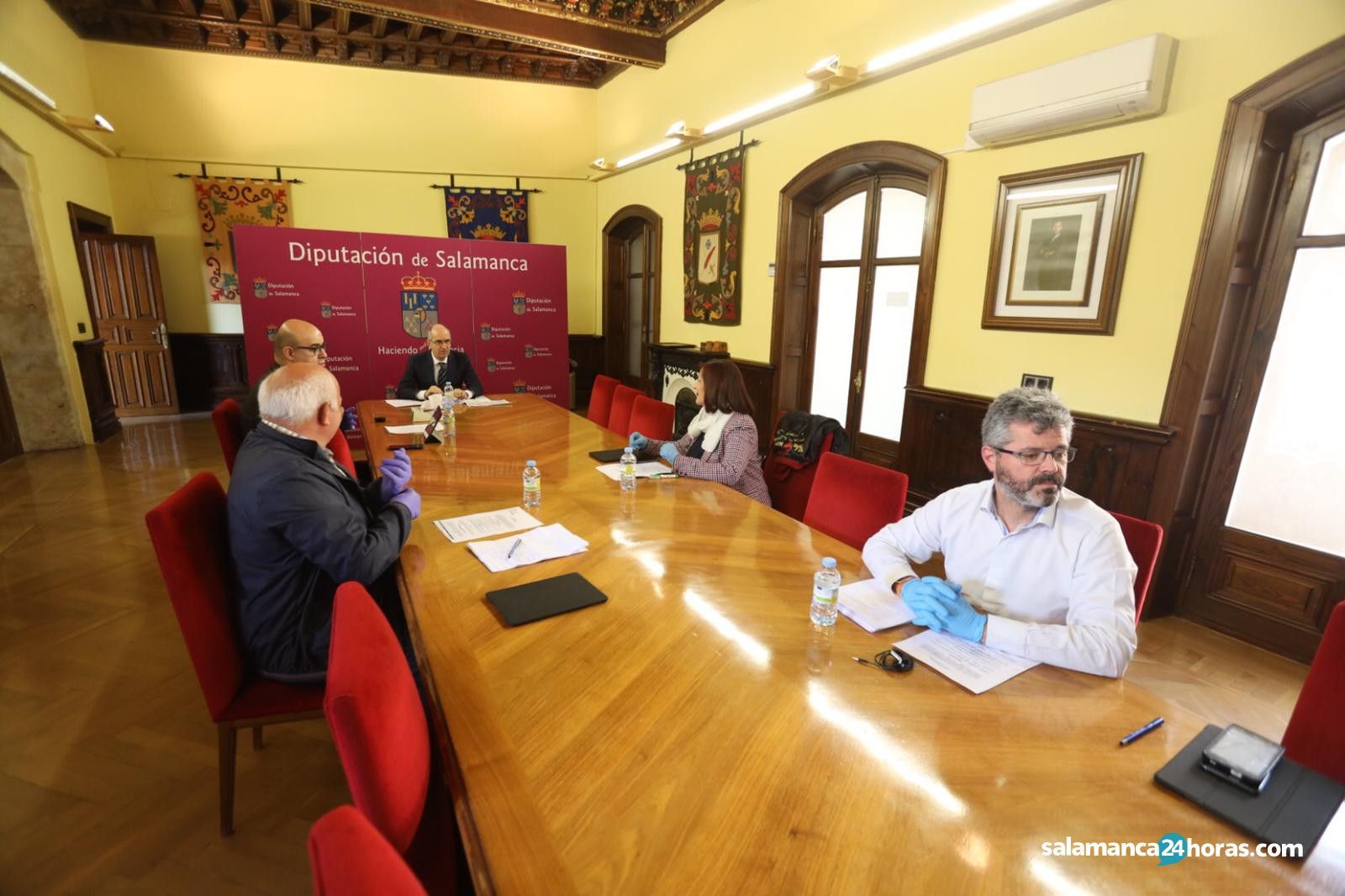 Pleno telematico Diputacion 8 abril (7)