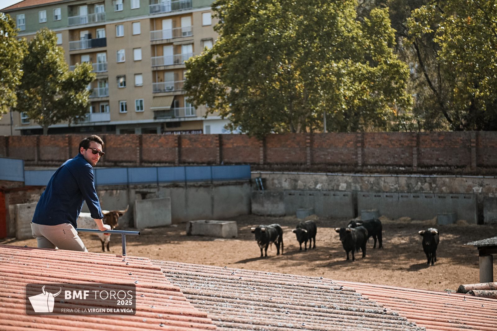De 'Filósofo' a 'Volador': los toros García y Olga Jiménez para el regreso de Morante a La Glorieta con Ismael Martín y Marco Pérez