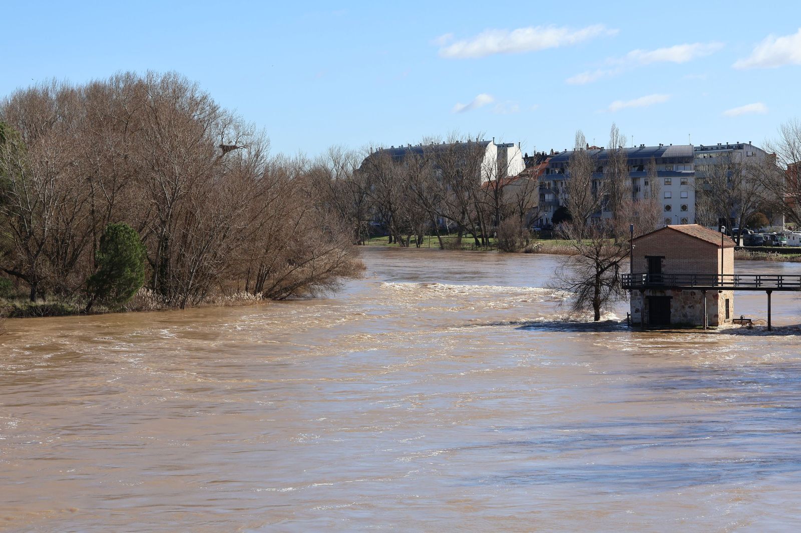 GALERÍA | El Duero muestra su fuerza con una importante crecida tras las lluvias