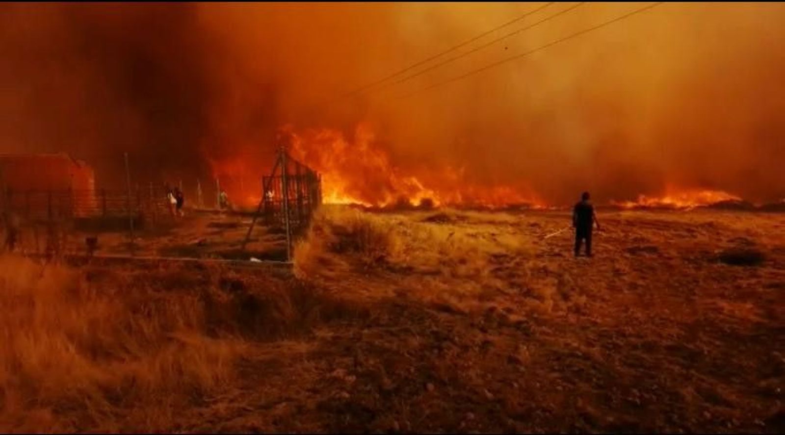 WhatsApp Image 2020 08 26 at 13.49.30