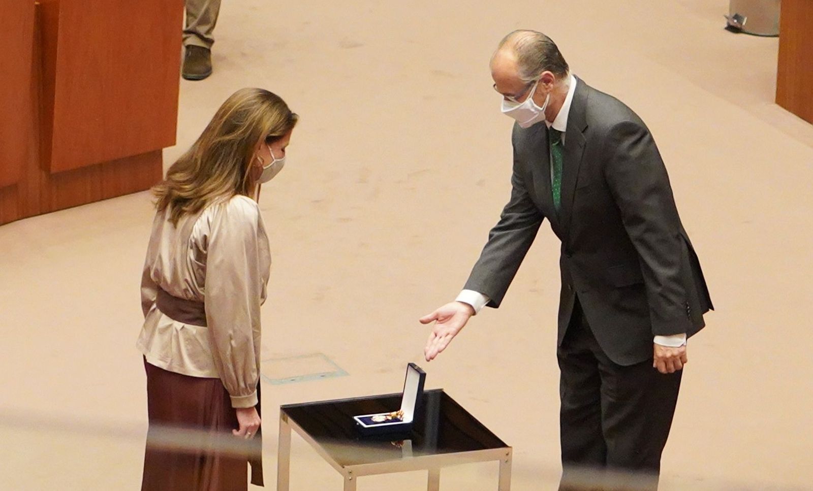 Fátima Pinacho recibe la medalla de procuradora Foto ICAL