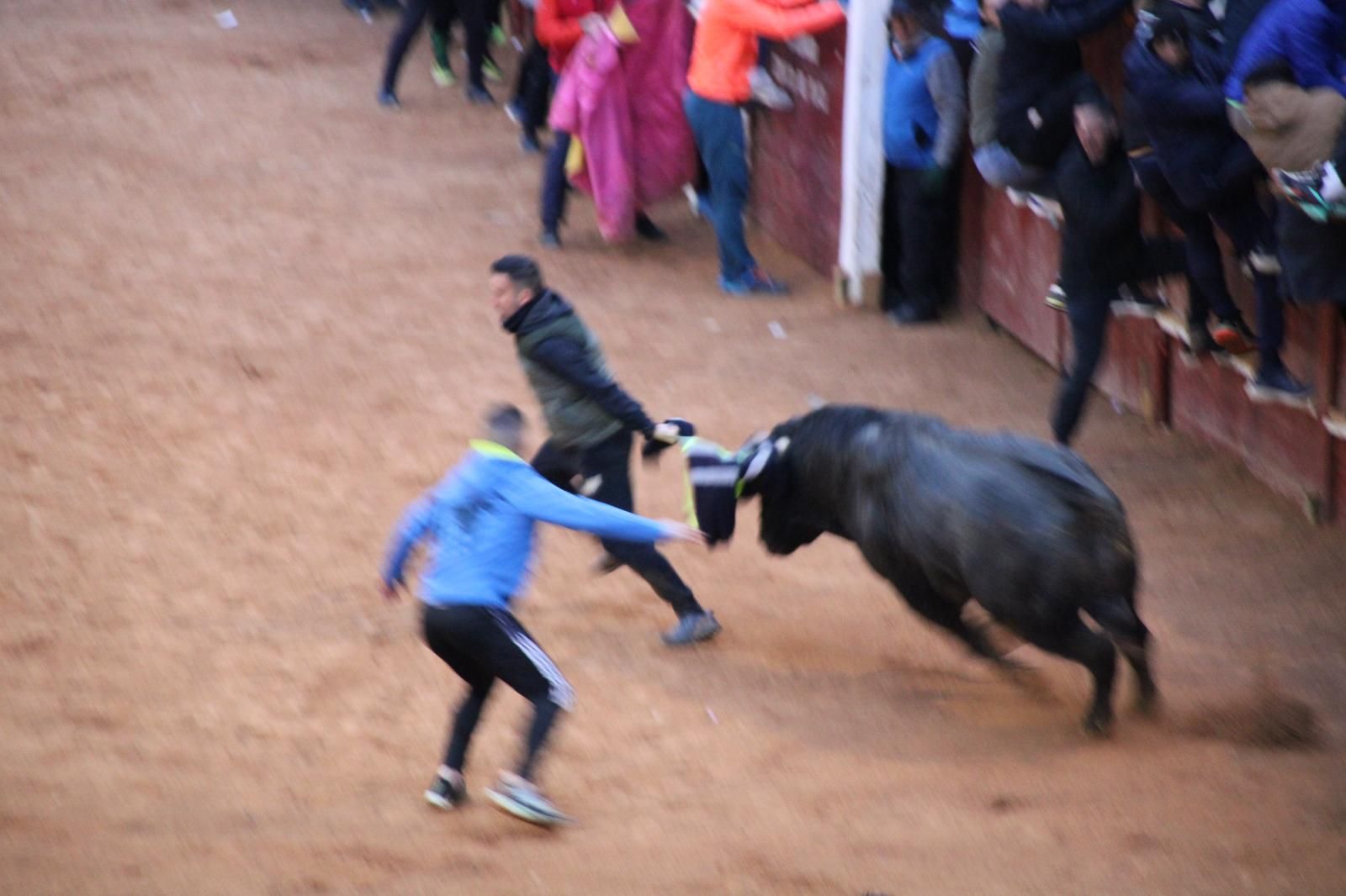 whatsapp-image-2025-03-02-at-19-32-38-2