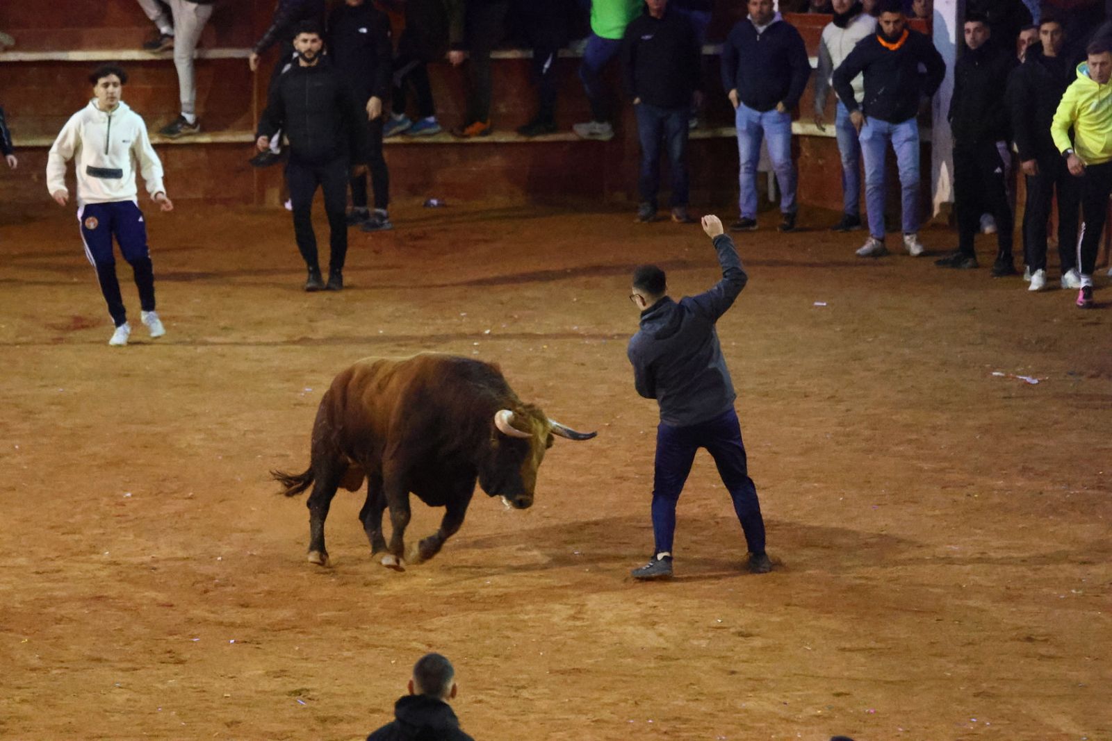 Capa y desencierro de tarde de lunes en el Carnaval del Toro 2026