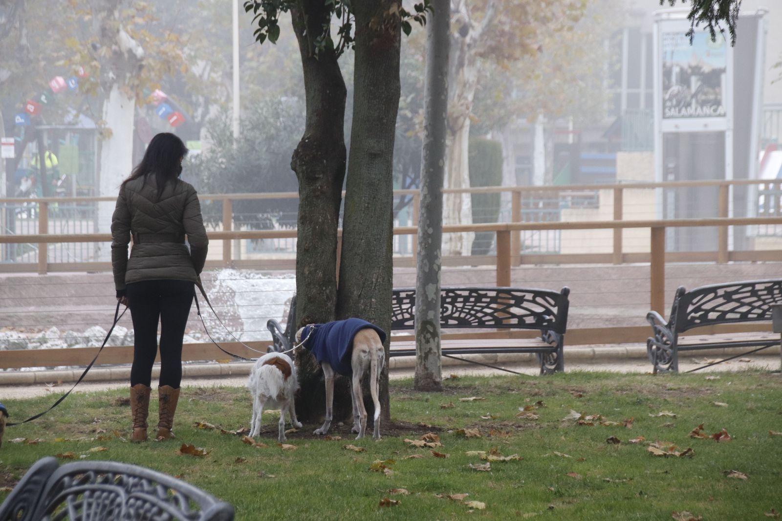 Gente con sus perros en el parque de La Alamedilla en invierno con frío | Foto: Andrea M