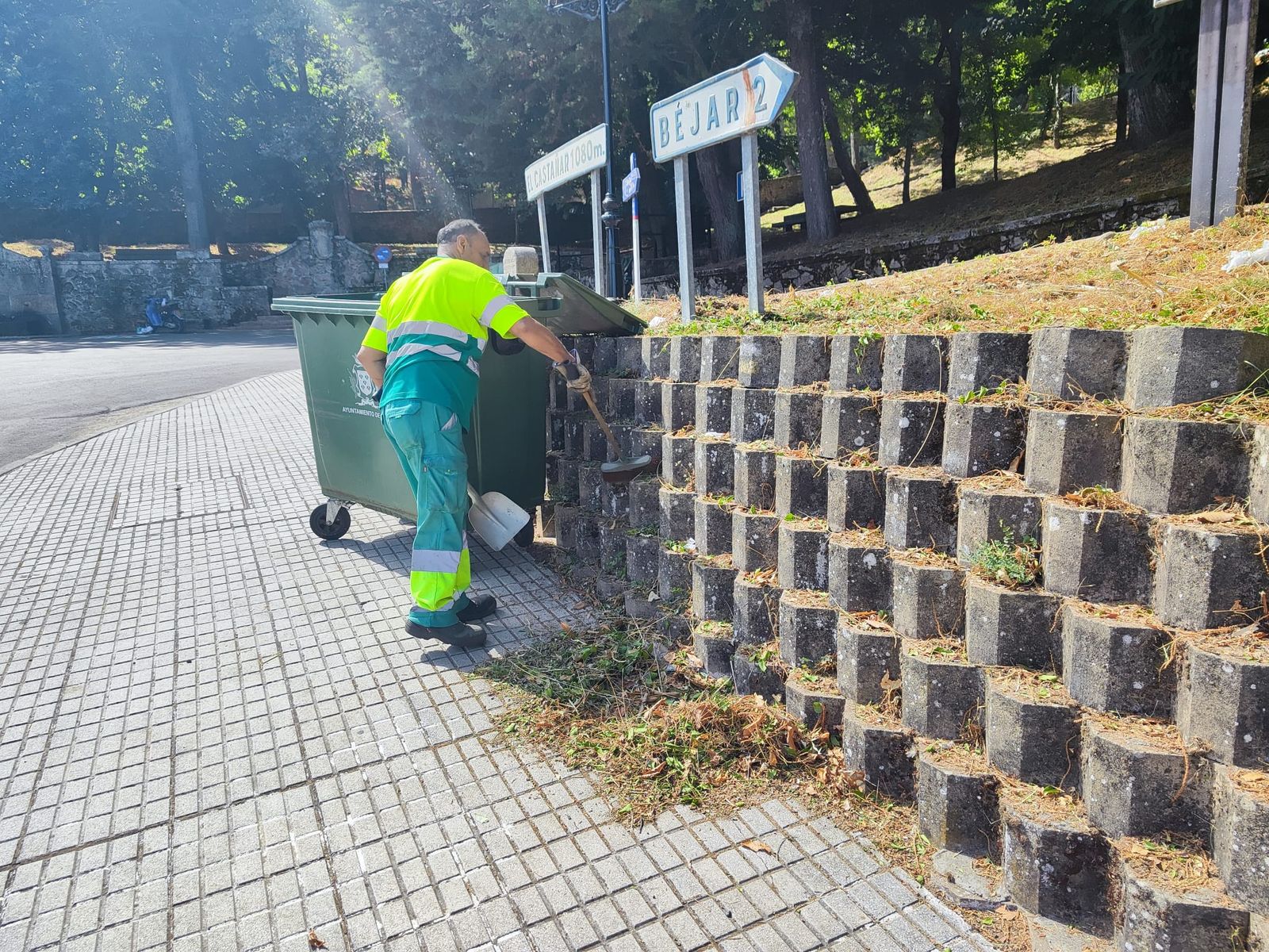 Limpieza de El Castañar