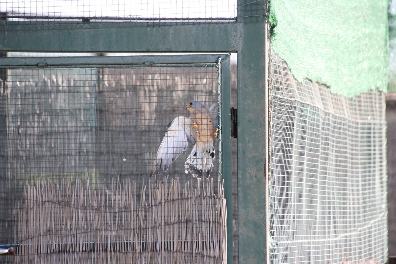 20230304150504-img-1621