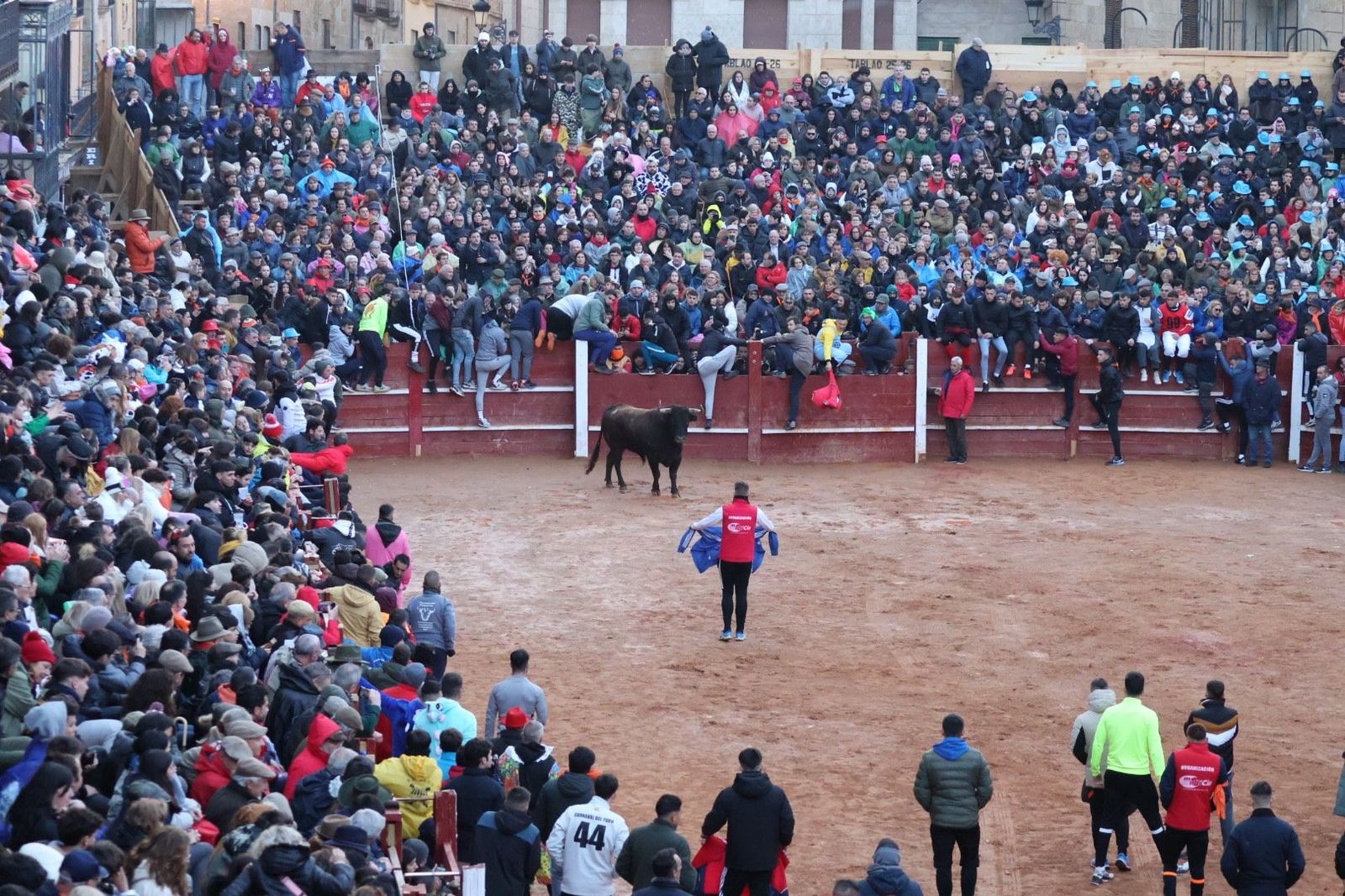 20240210183901-img-5996