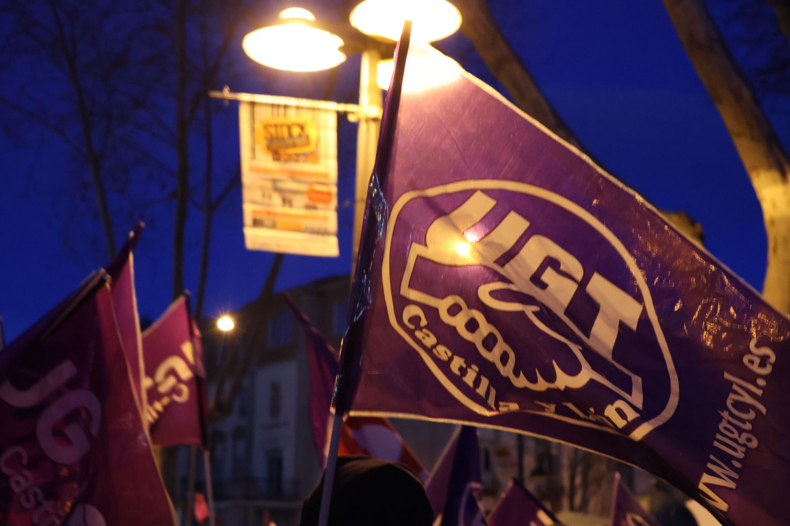 marcha-del-8m-en-zamora-8