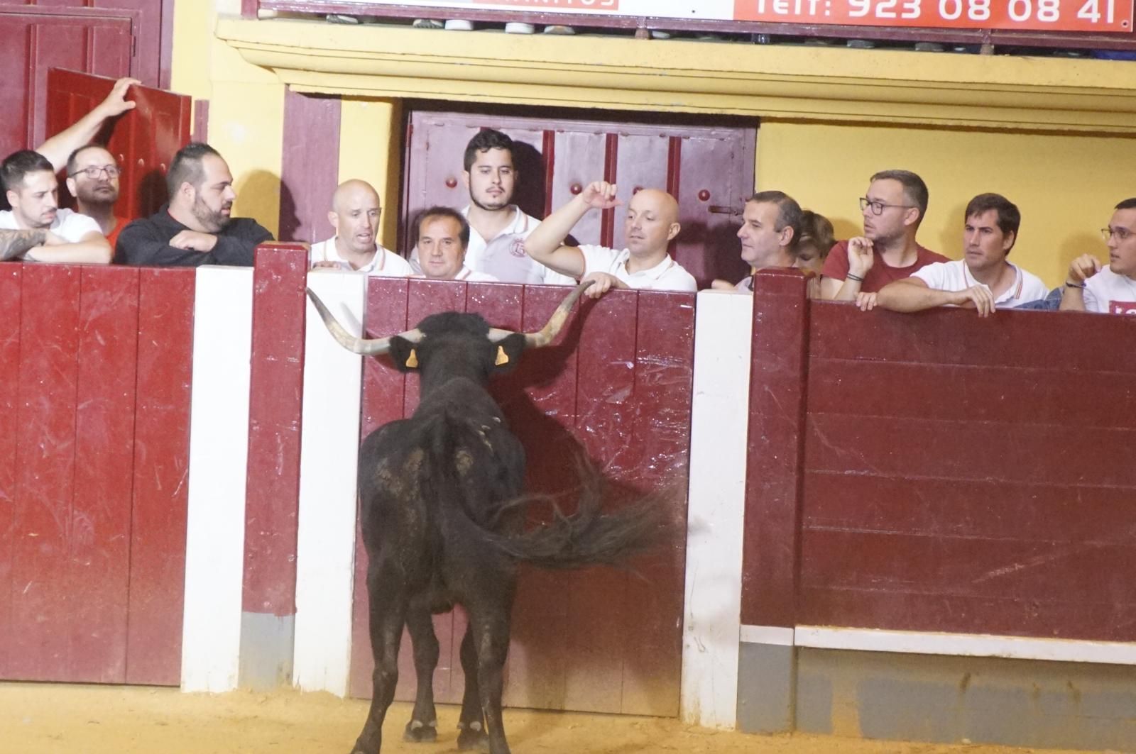 Toro del cajón y capea en Alba de Tormes