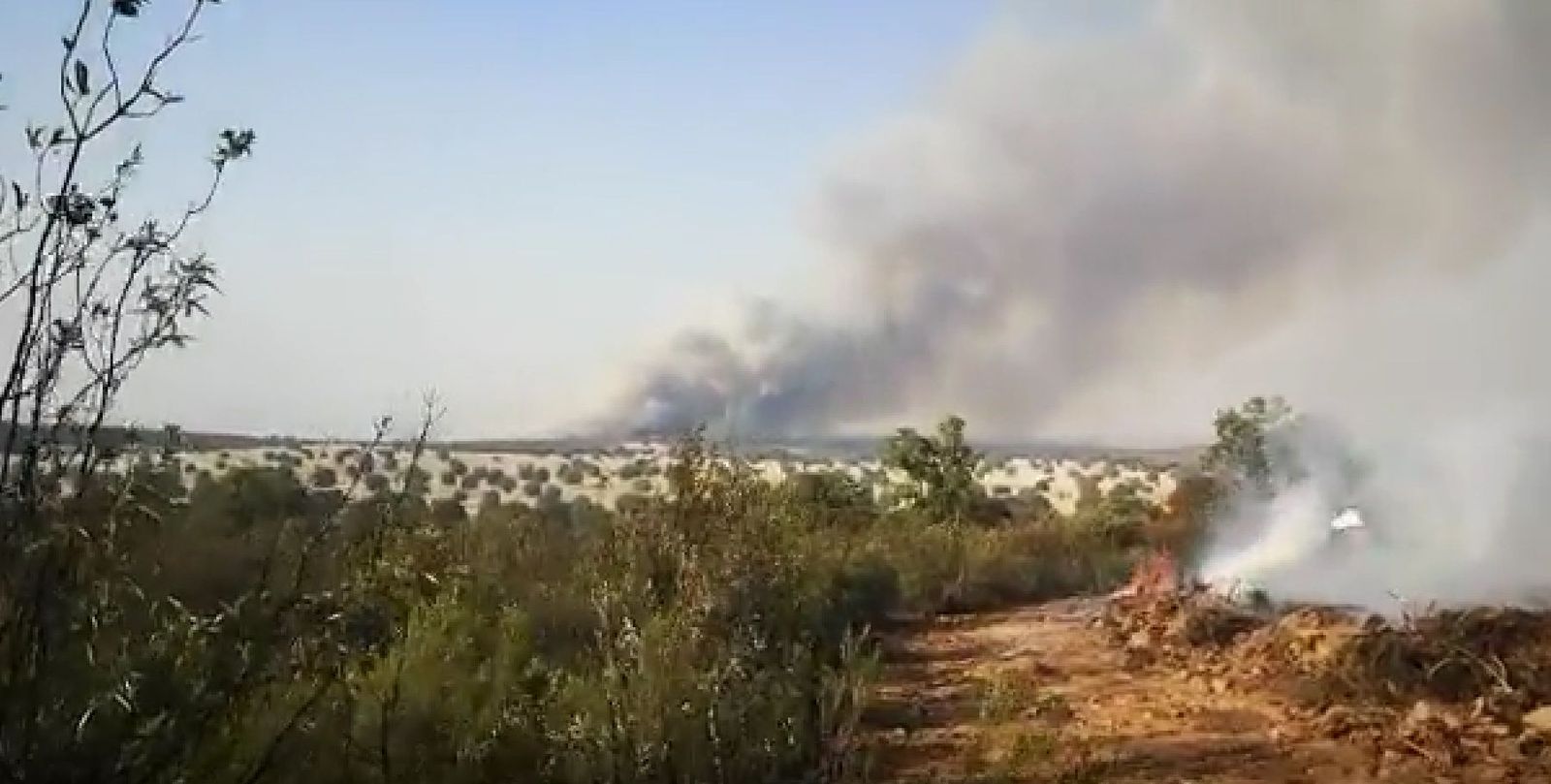 Imagen del incendio en estos momentos. ATBRIF