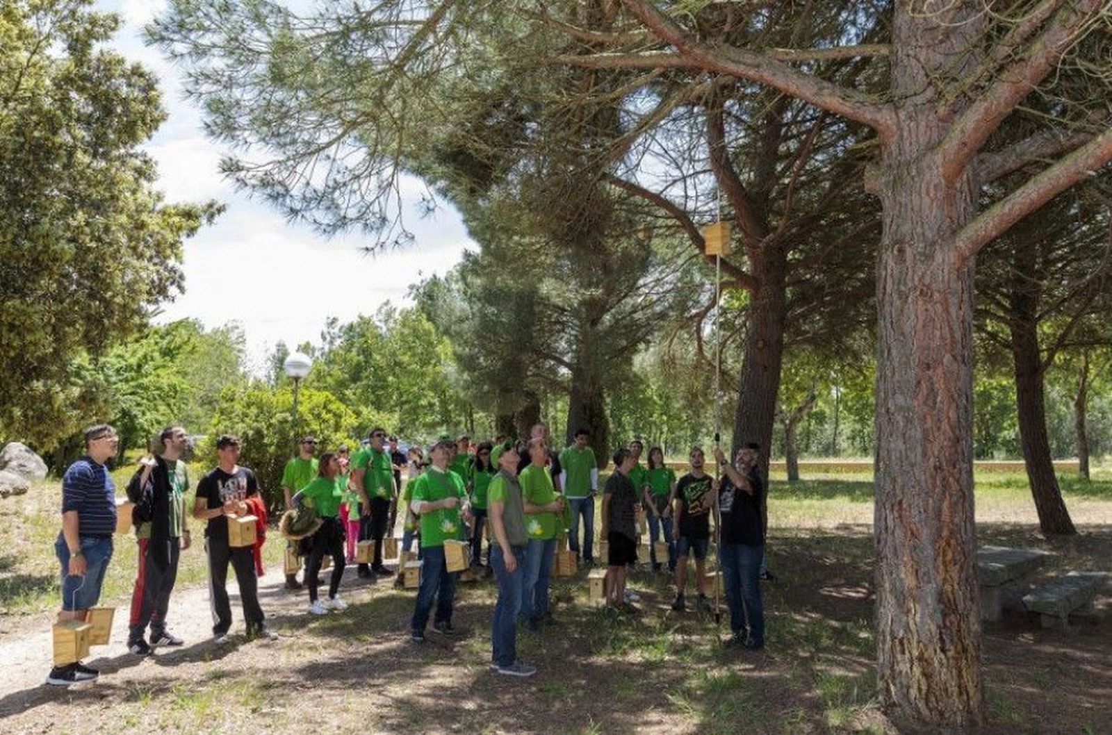 Campos voluntariado juvenil
