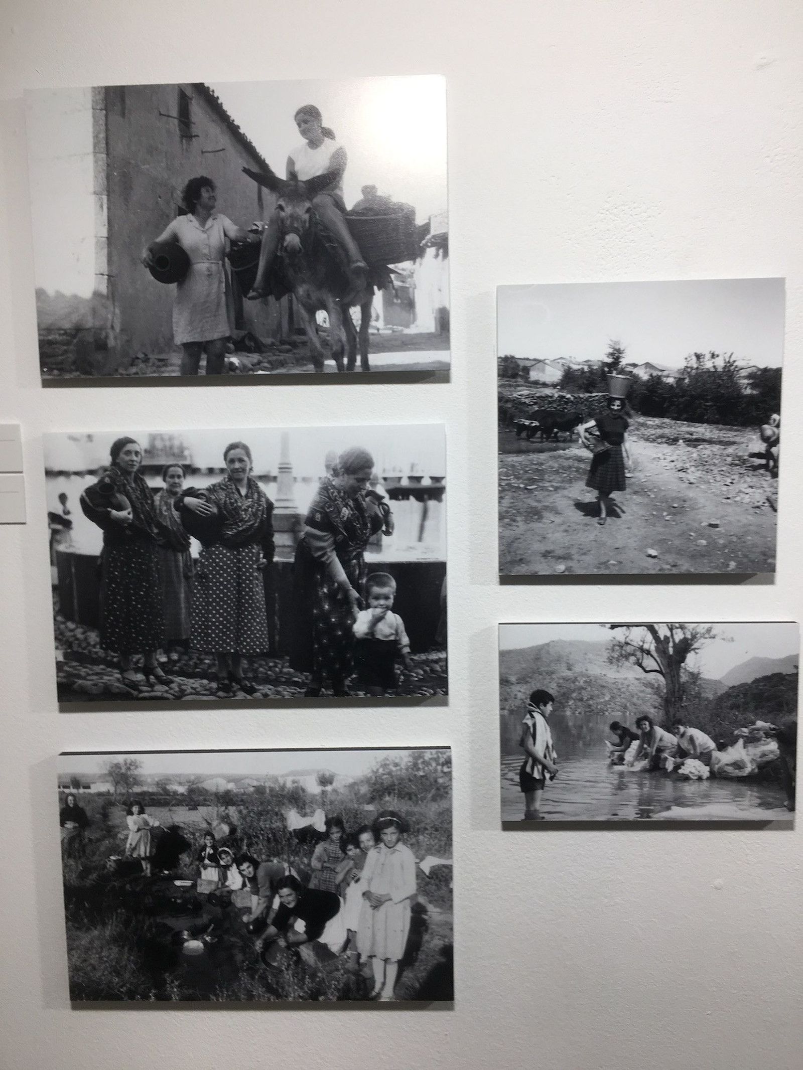 Anthropografias IMG 2745