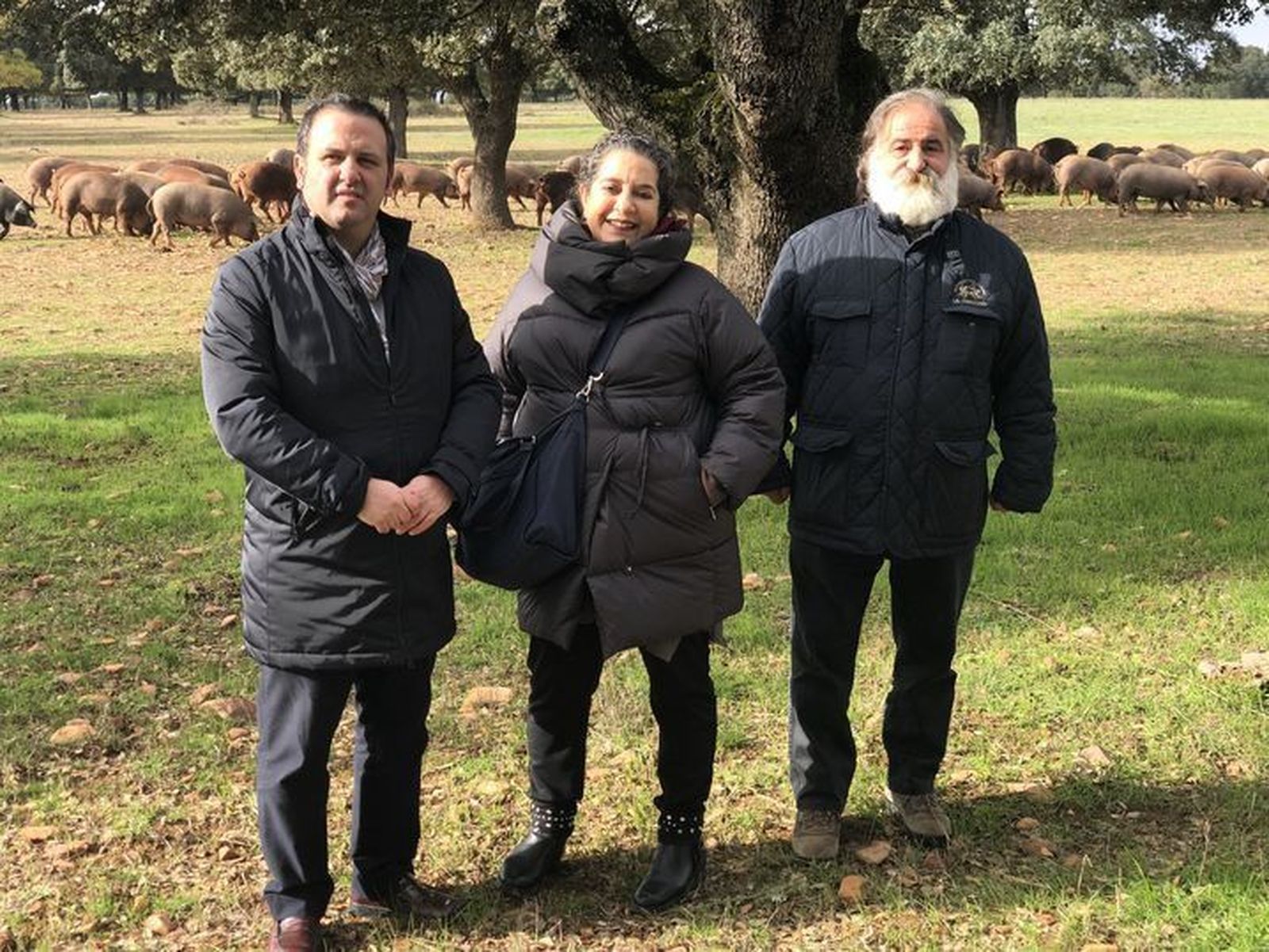 Montanera (3) result