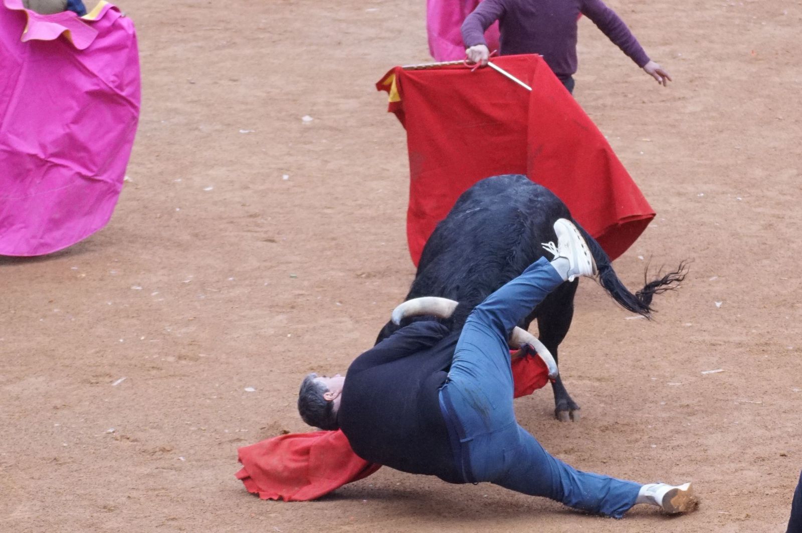 Capea matinal de domingo de carnaval en Ciudad Rodrigo (48).jpeg