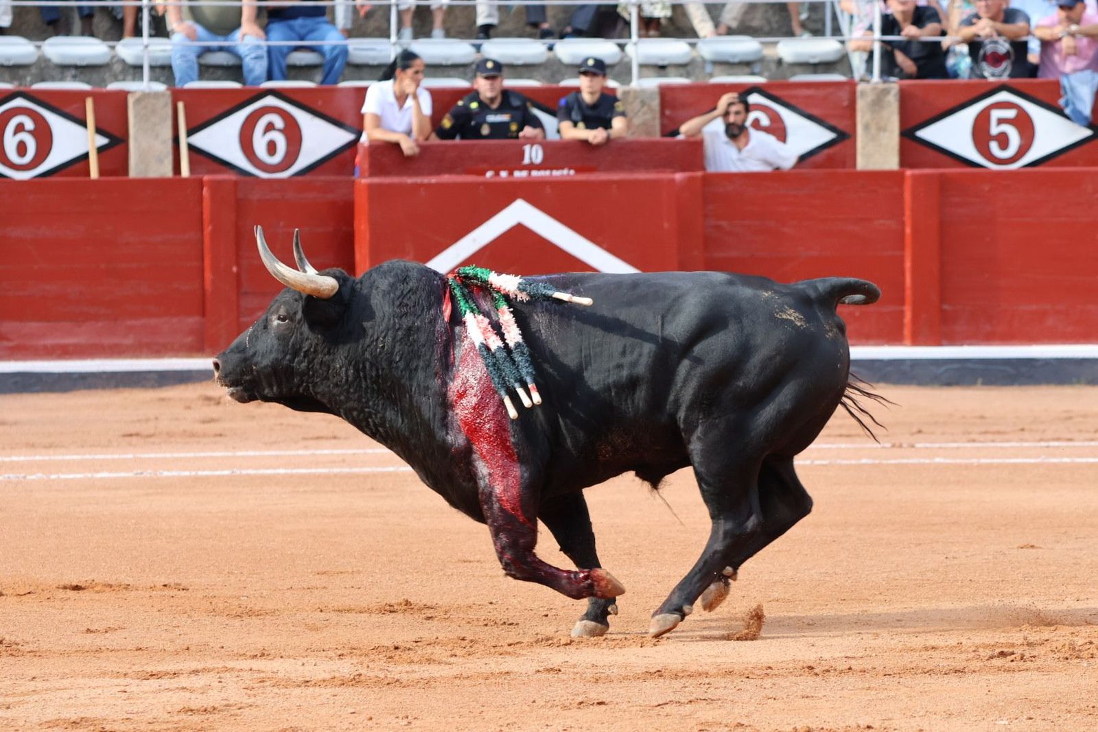 20230910171649-img-1660