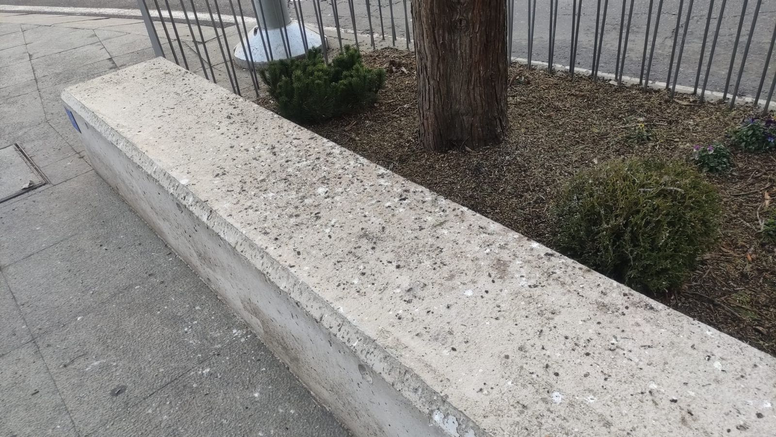 Excrementos en los bancos situados en la Puerta de Zamora