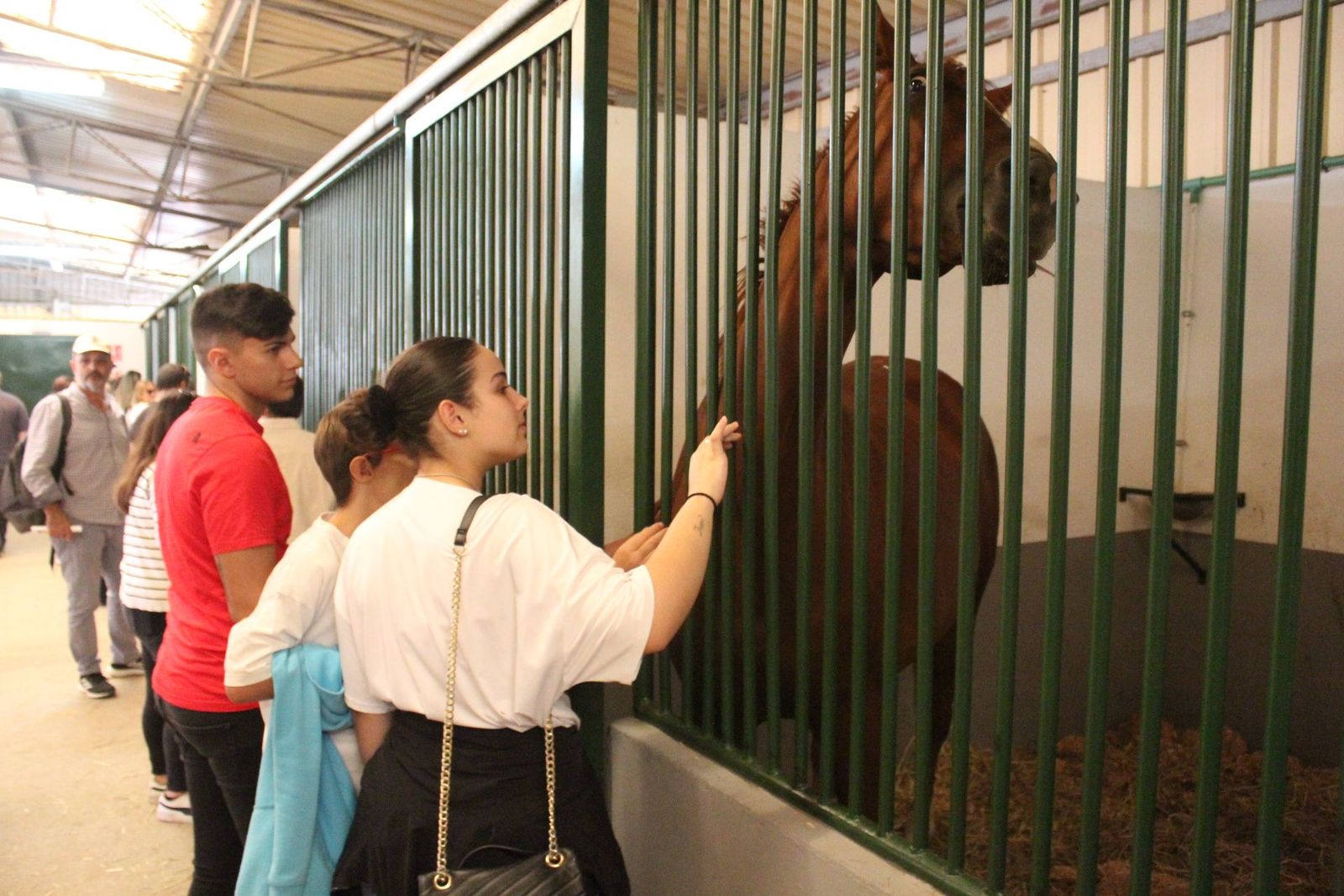 20230904142007-img-7559