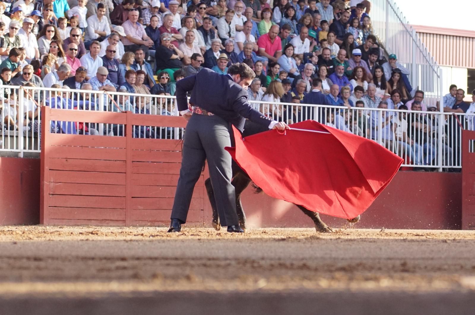 whatsapp-image-2024-09-06-at-20-53-42-2