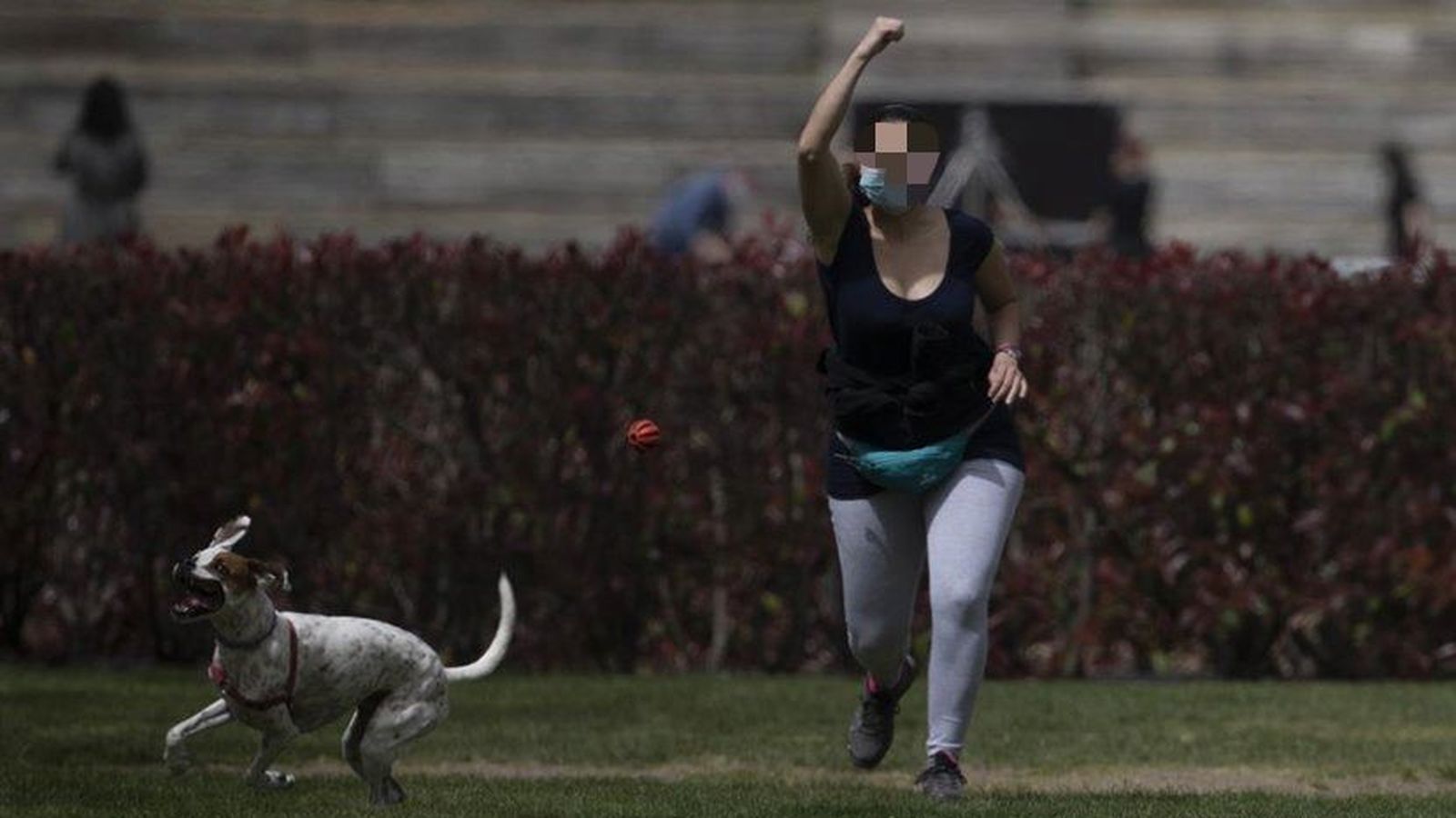 Una mujer jugando con su perro