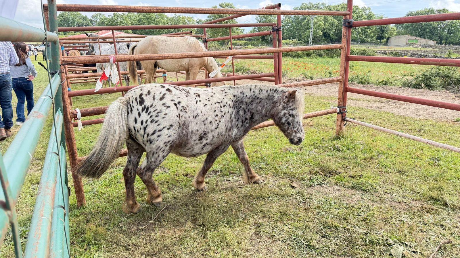 Feria Barruecopardo 1 de mayo 2026