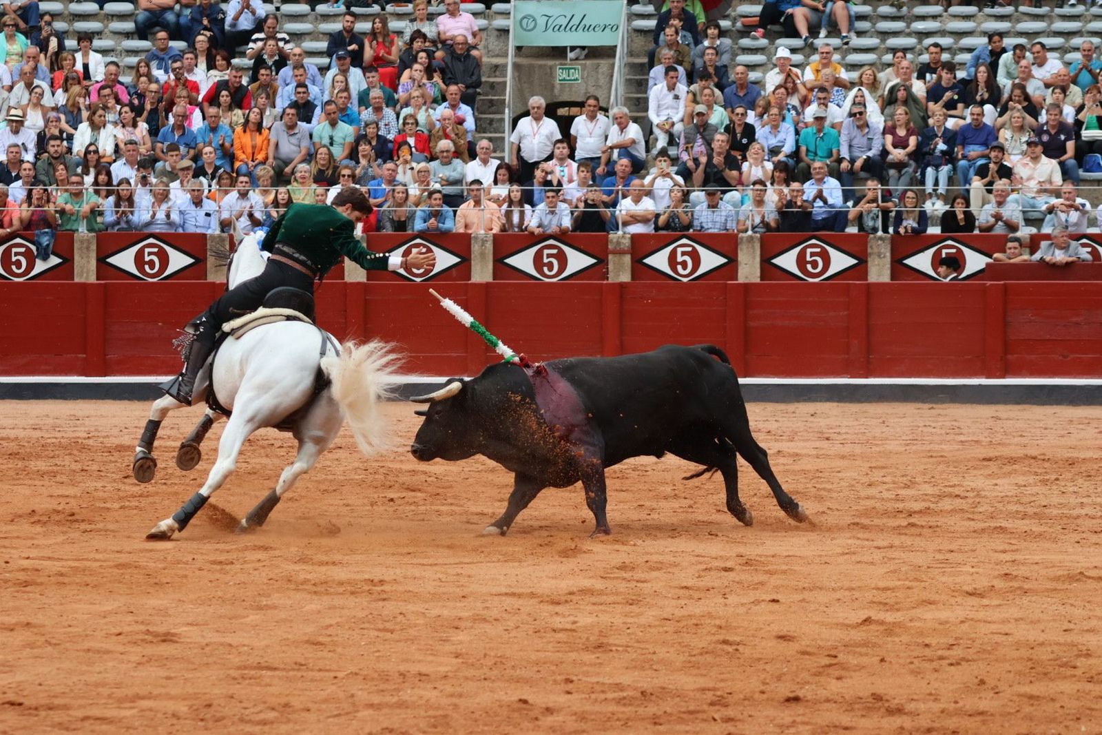 20230909190059-img-0777