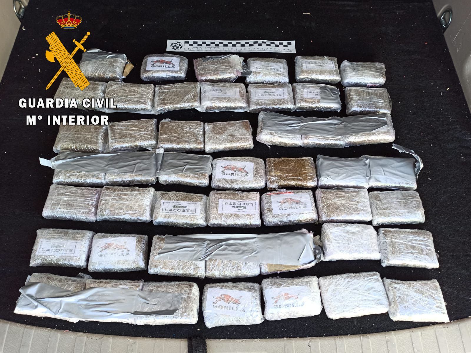 27 08 2020 TRAFICO DROGA