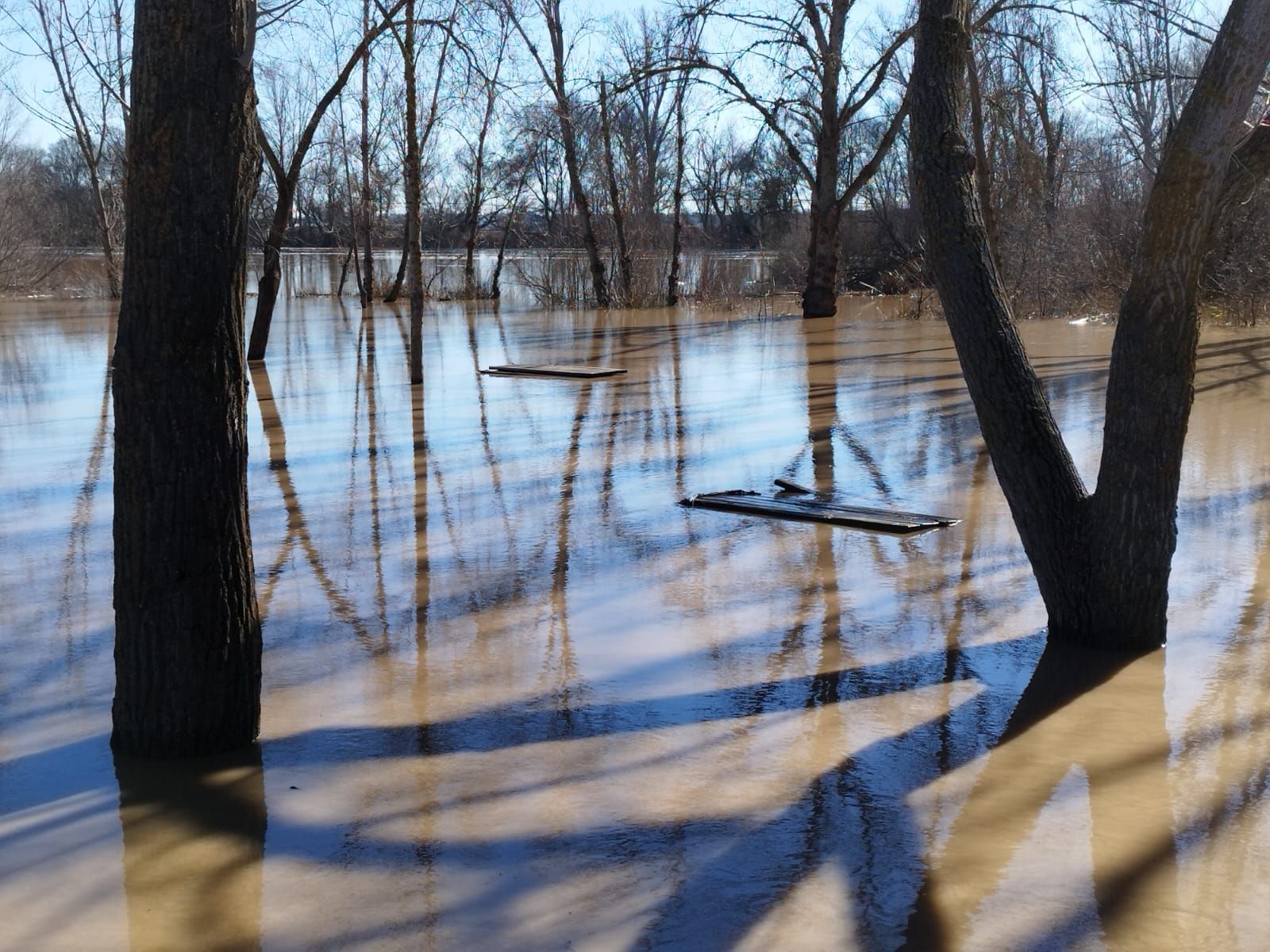 whatsapp-image-2024-01-20-at-13-23-13-2