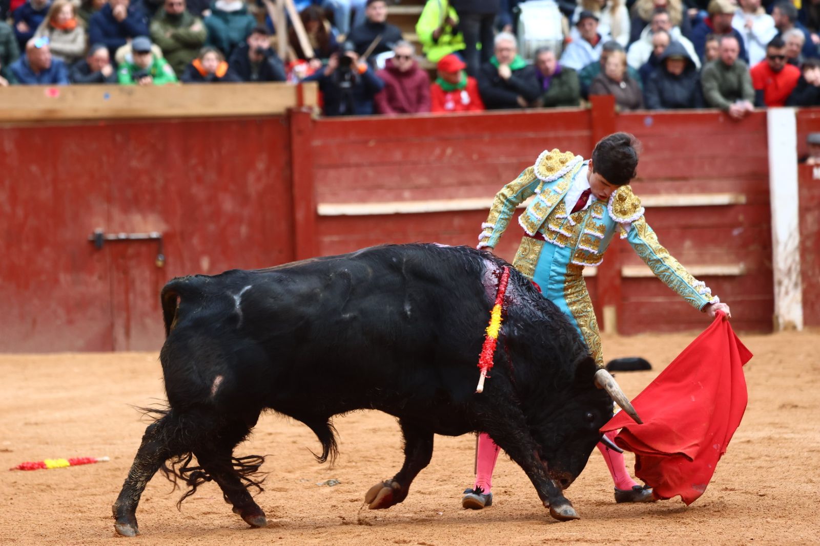 Novillada con picadores de lunes en el Carnaval del Toro de Ciudad Rodrigo 2026