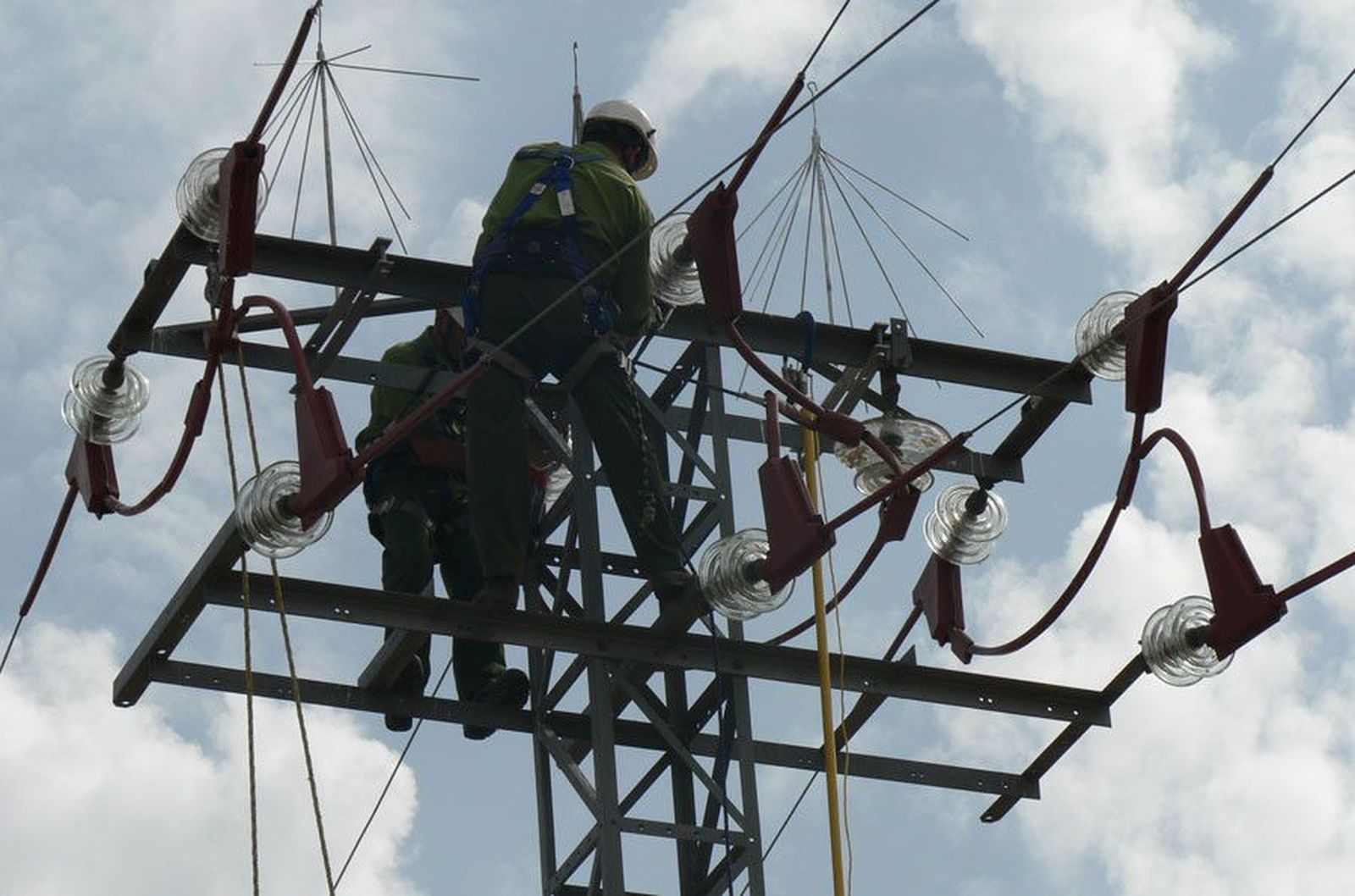 Protección Avifauna